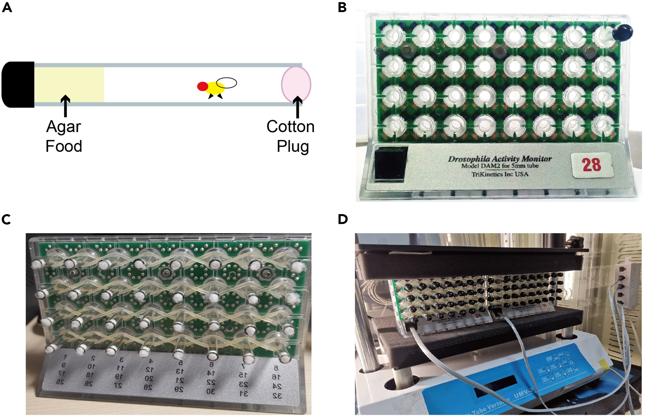Cell Press STAR Protocols