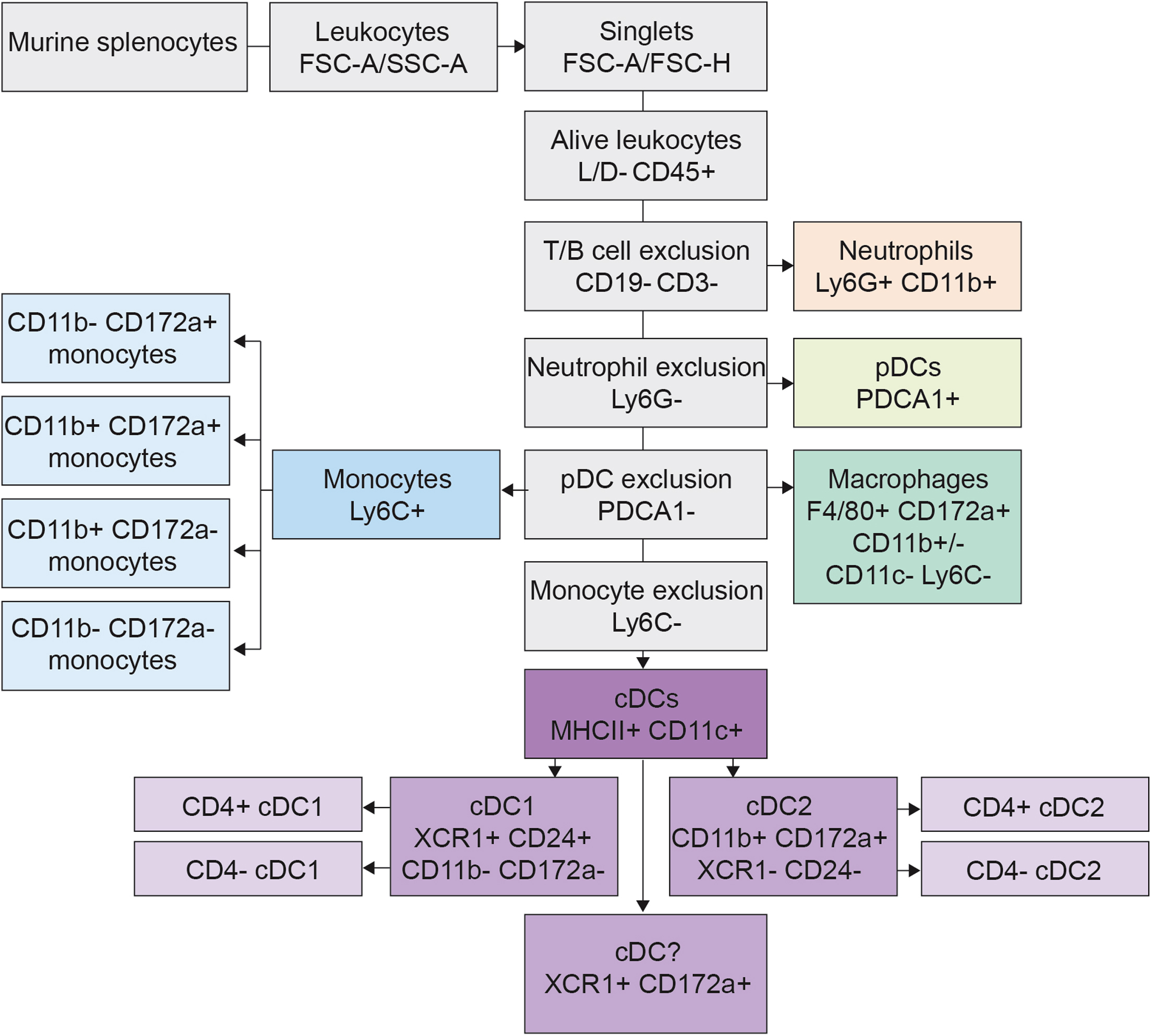 Acquisition of murine splenic myeloid cells for protein and gene expression  profiling by advanced flow cytometry and CITE-seq