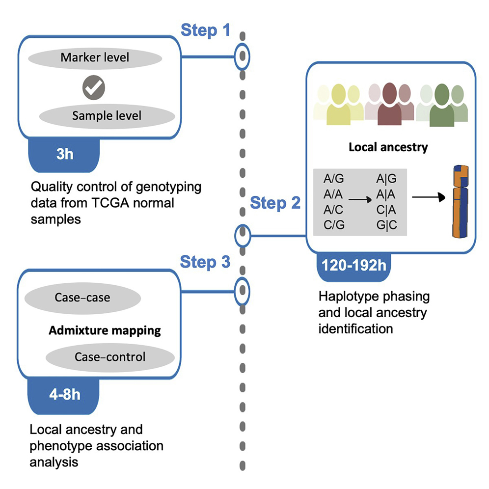 Analytical protocol to identify local ancestry-associated 