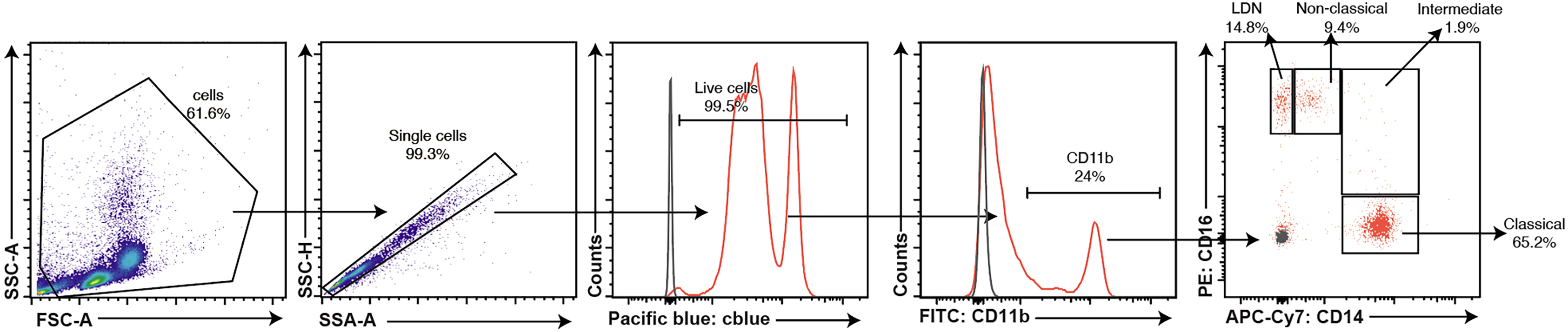Cell Press: STAR Protocols