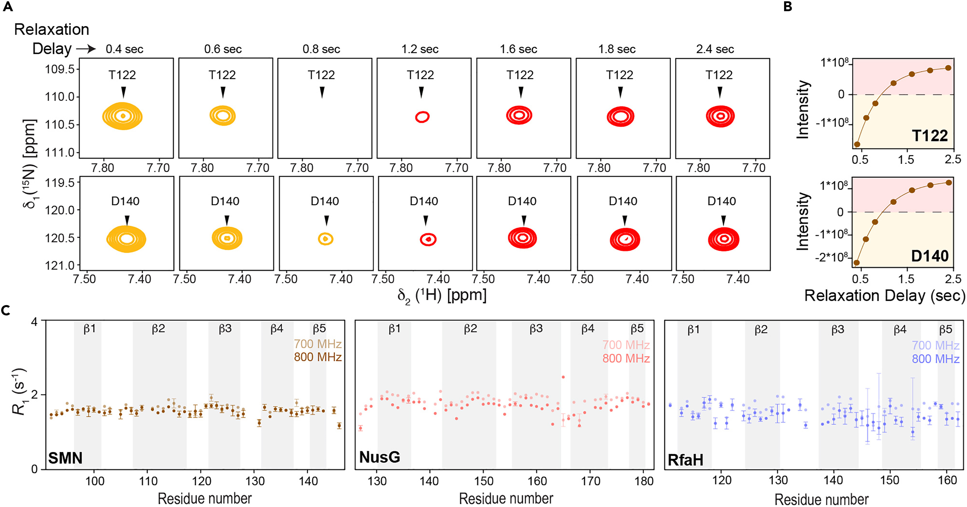 Functional protein dynamics on uncharted time scales detected by  nanoparticle-assisted NMR spin relaxation