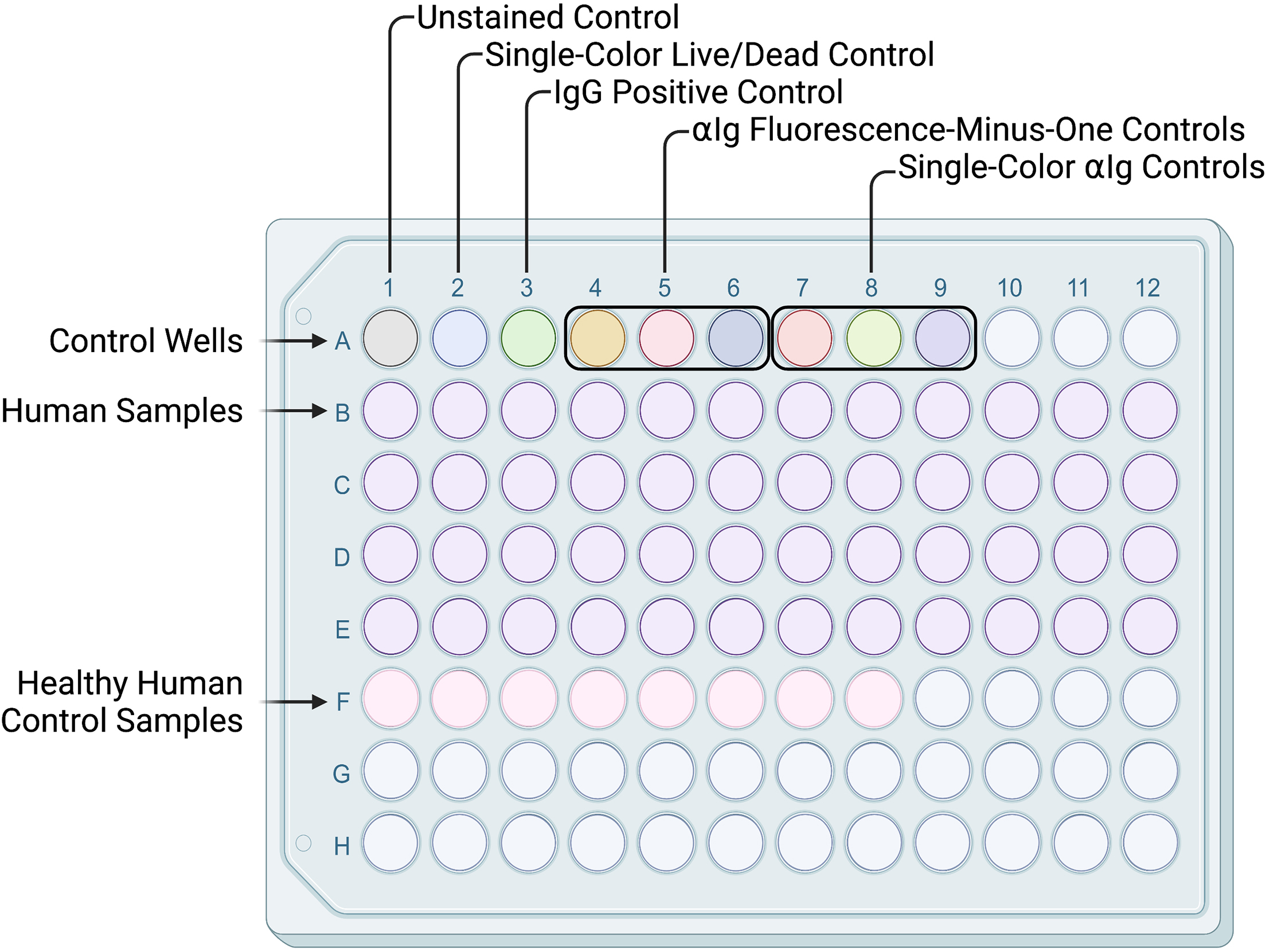 Cell Press: STAR Protocols