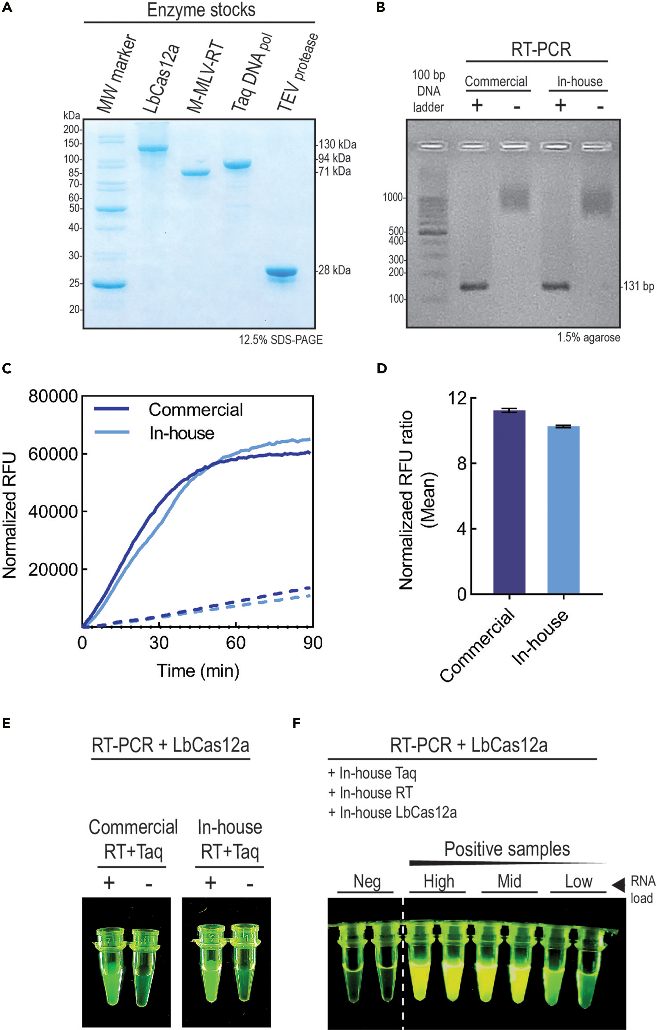 Cell Press: STAR Protocols