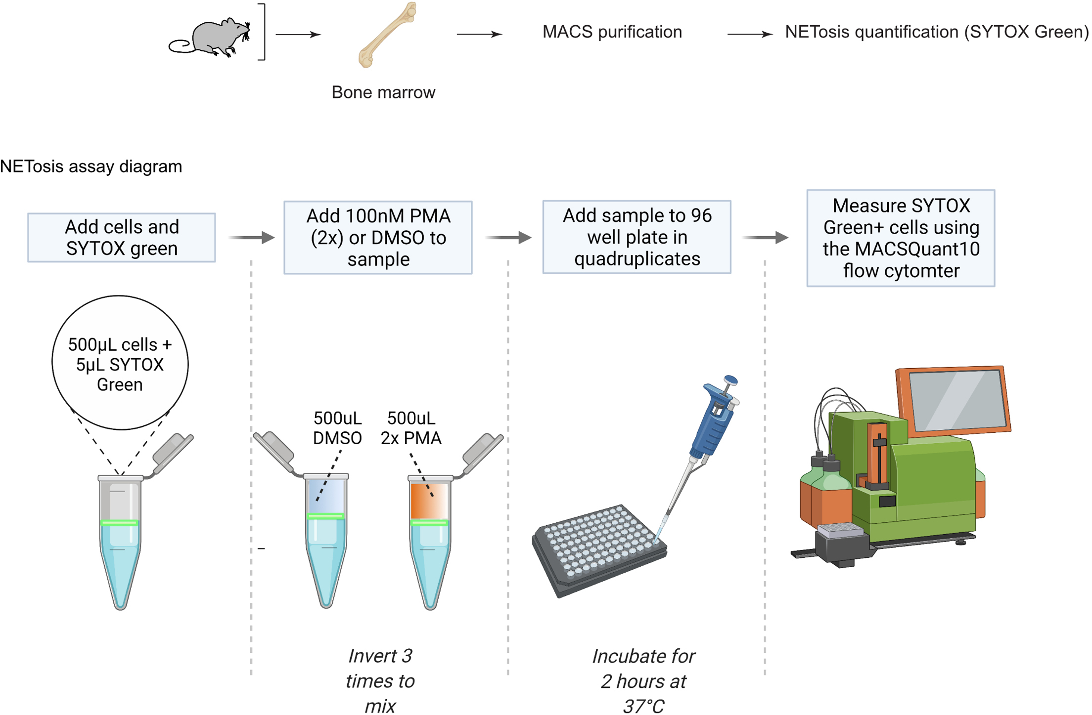 Cell Press: STAR Protocols