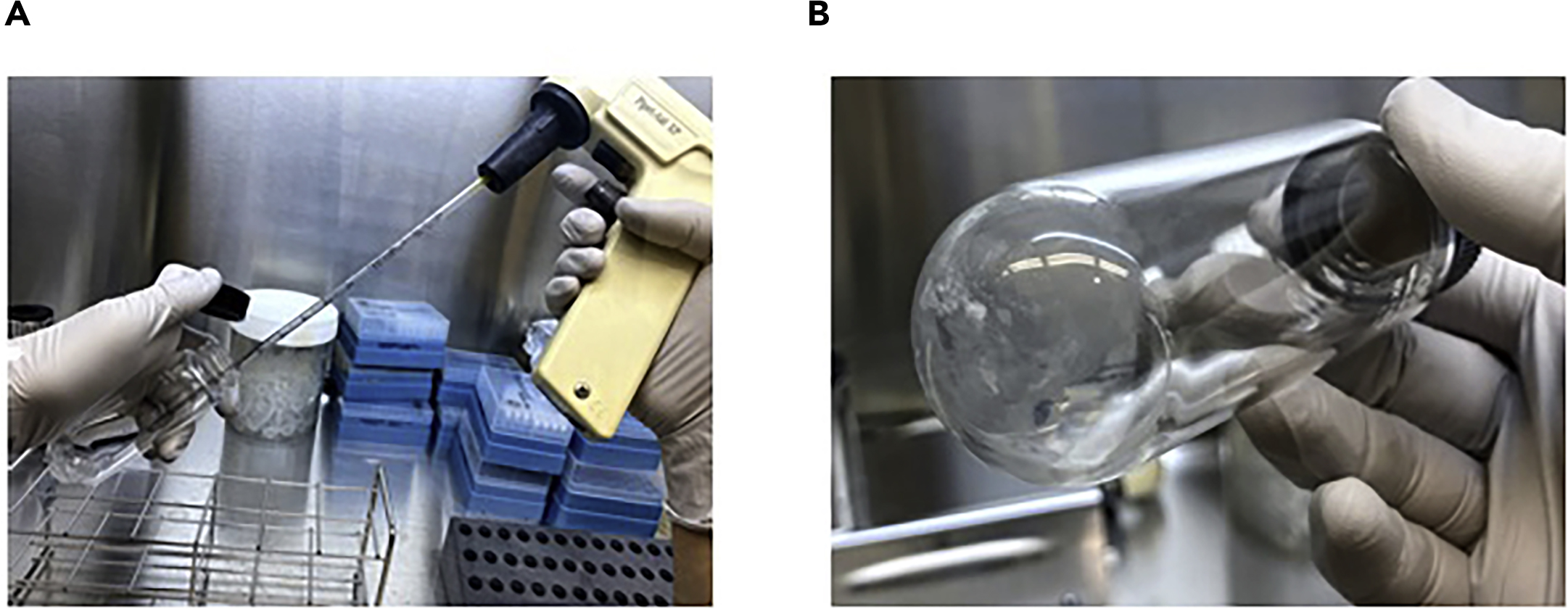 Cell Press STAR Protocols