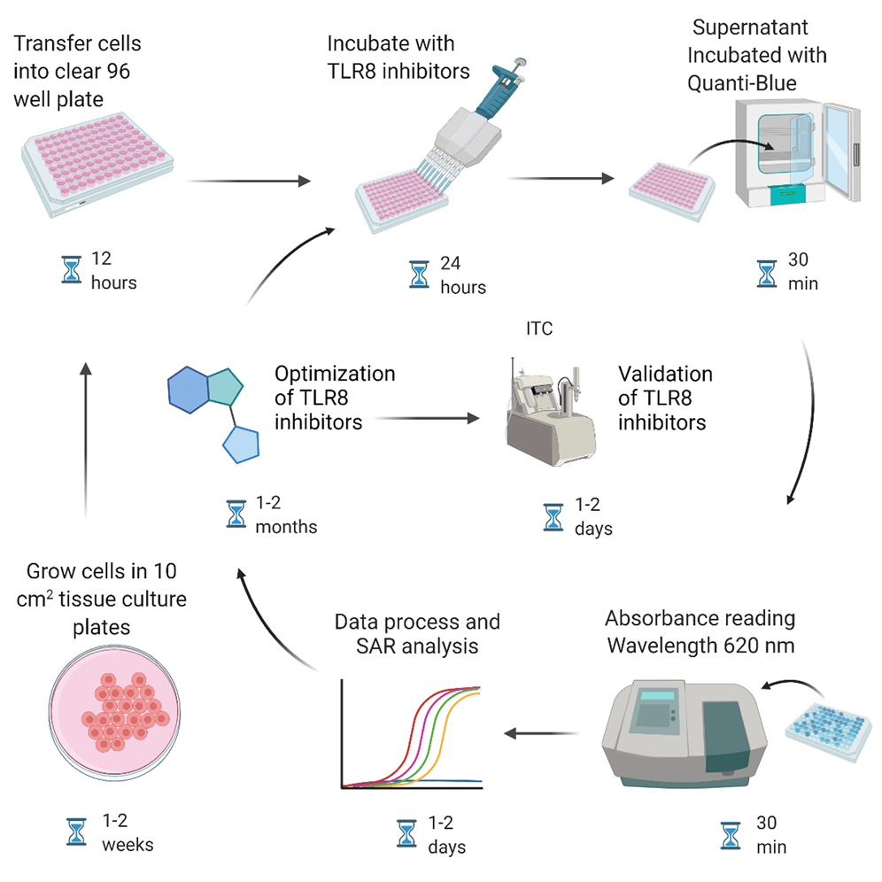 Cell Press: STAR Protocols