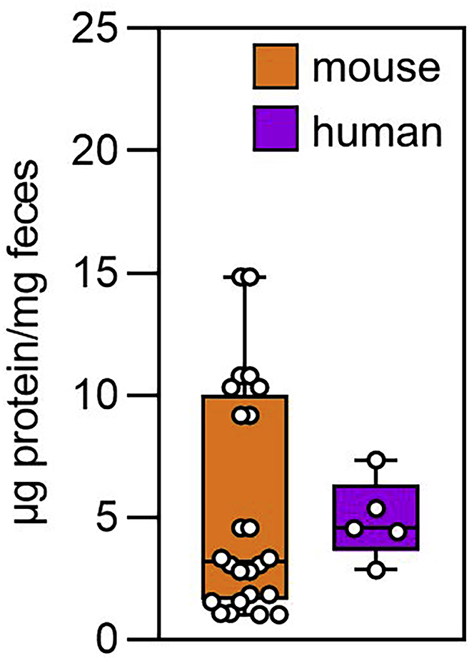 Cell Press Star Protocols 8247