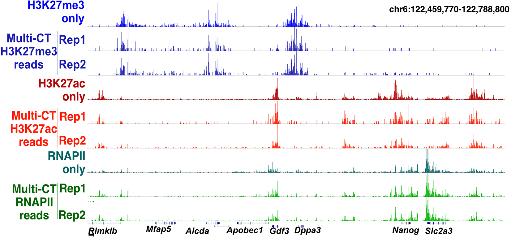 Cell Press STAR Protocols