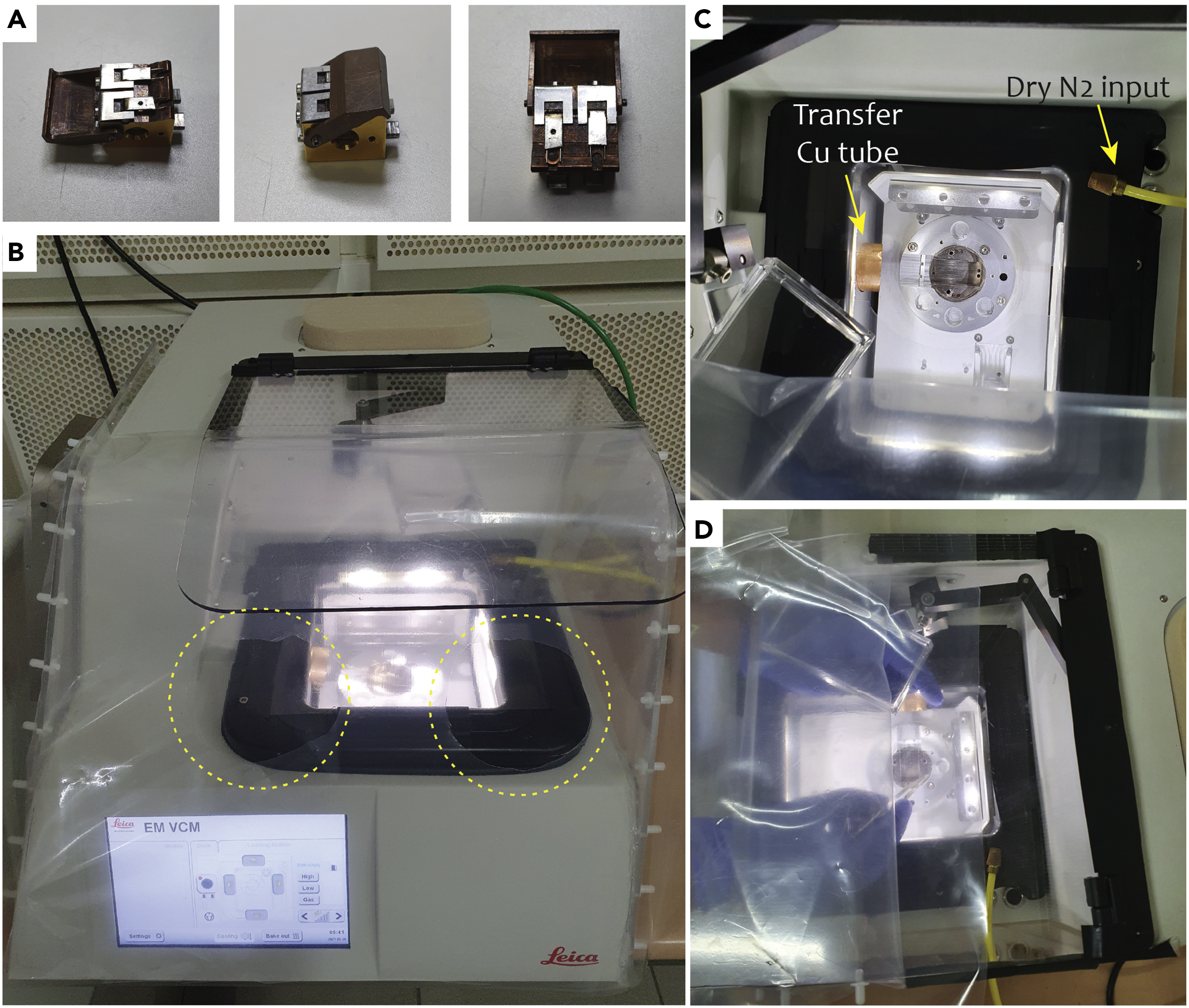 Cell Press: STAR Protocols