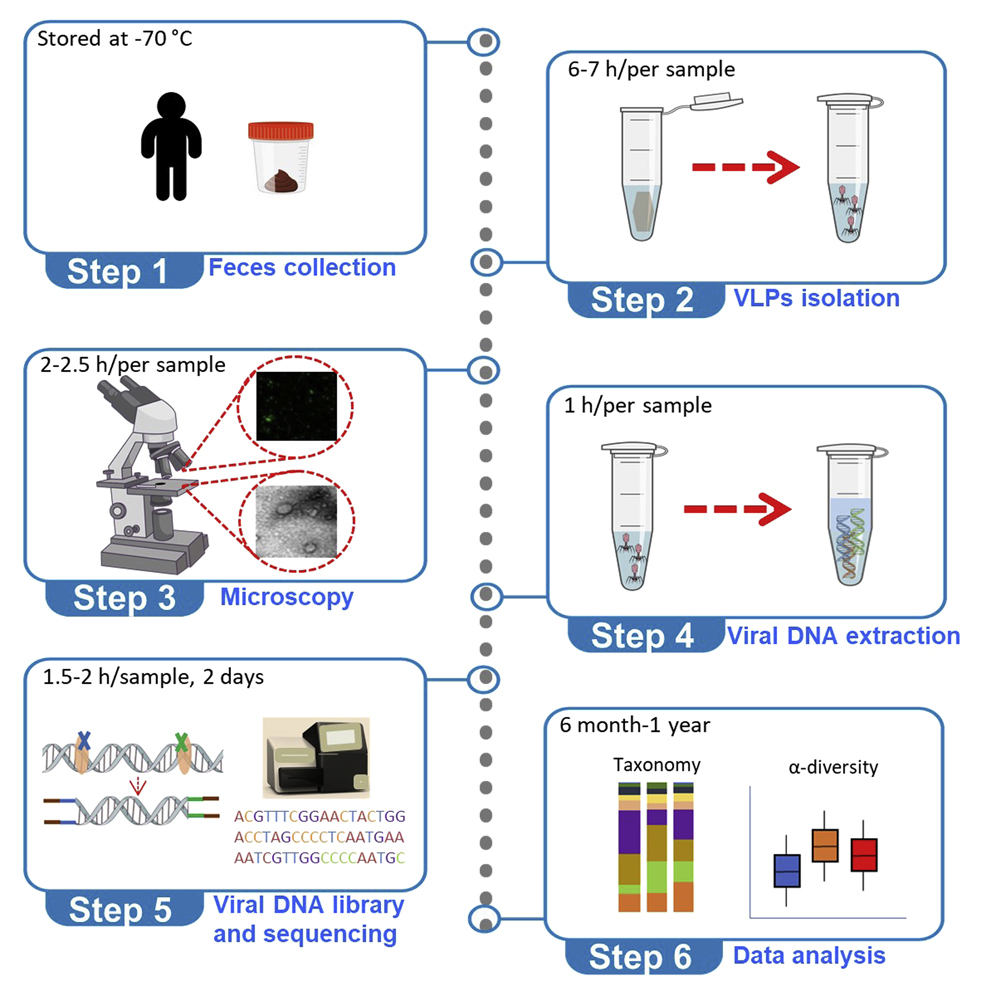 Cell Press: STAR Protocols