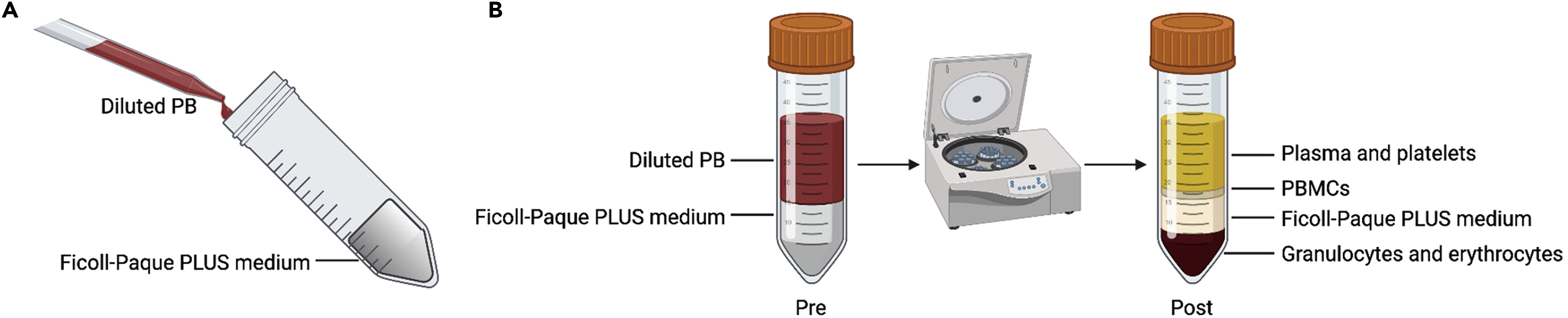 Cell Press: STAR Protocols