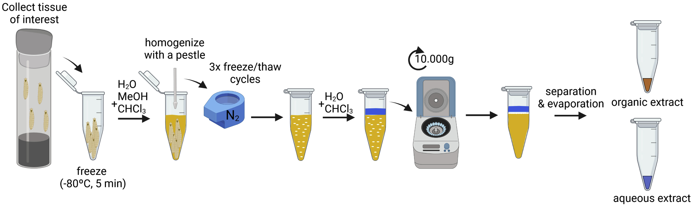 Cell Press: STAR Protocols