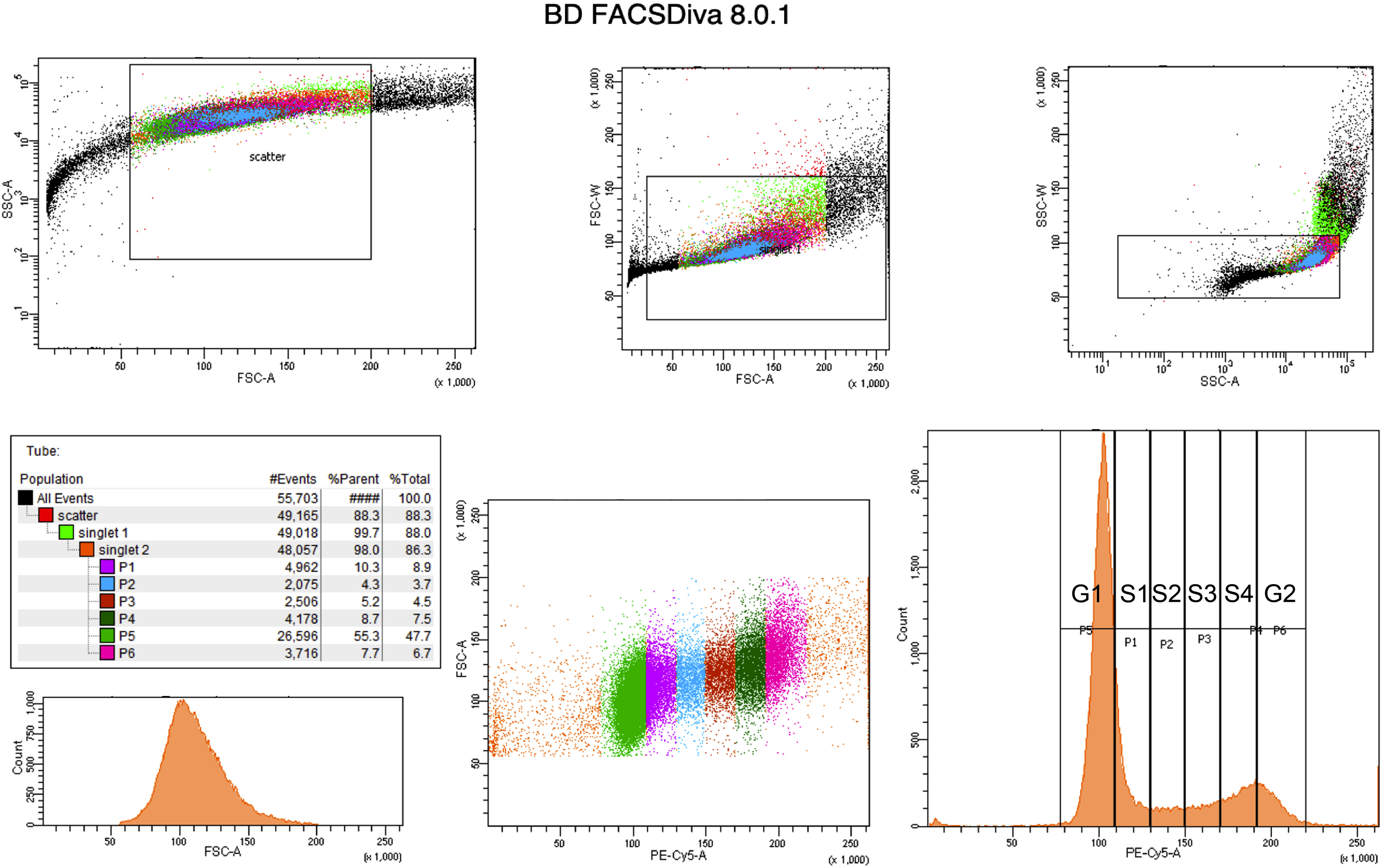 Cell Press: STAR Protocols