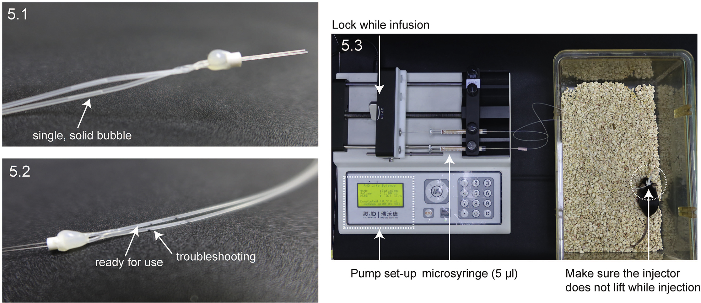 Mouse Infusion Cage