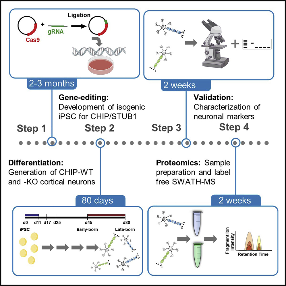 TKセット iiyama PC LEVEL-M5A6-R97X-TKX-ZETA DIVISION [RGB Build
