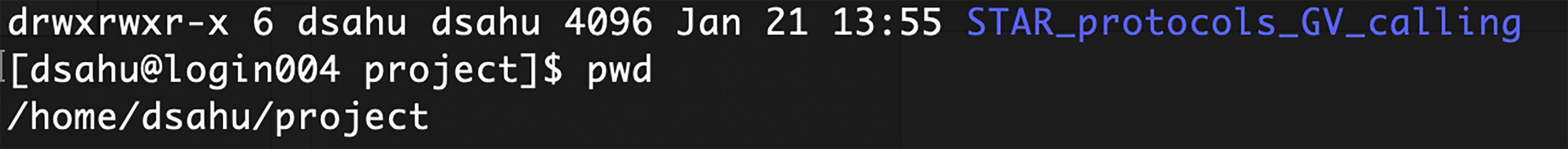 Cell Press: STAR Protocols