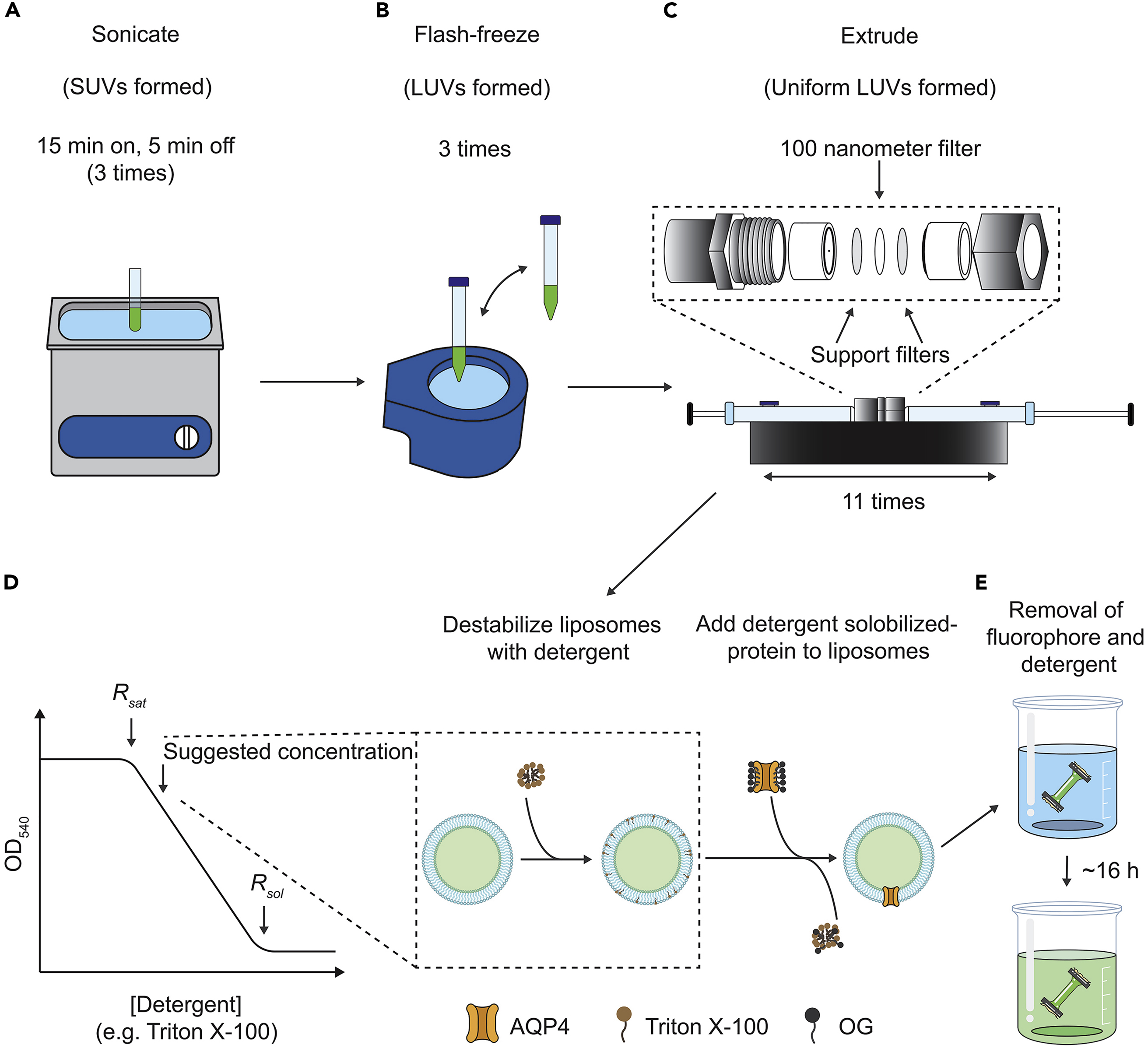 Cell Press: STAR Protocols