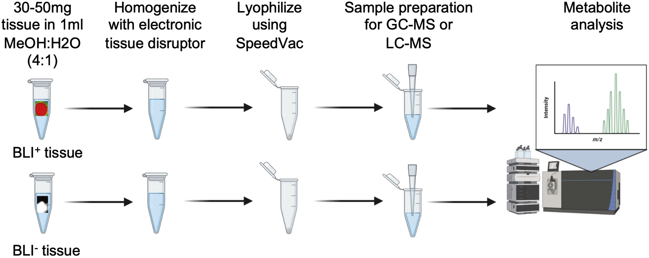 Cell Press: STAR Protocols