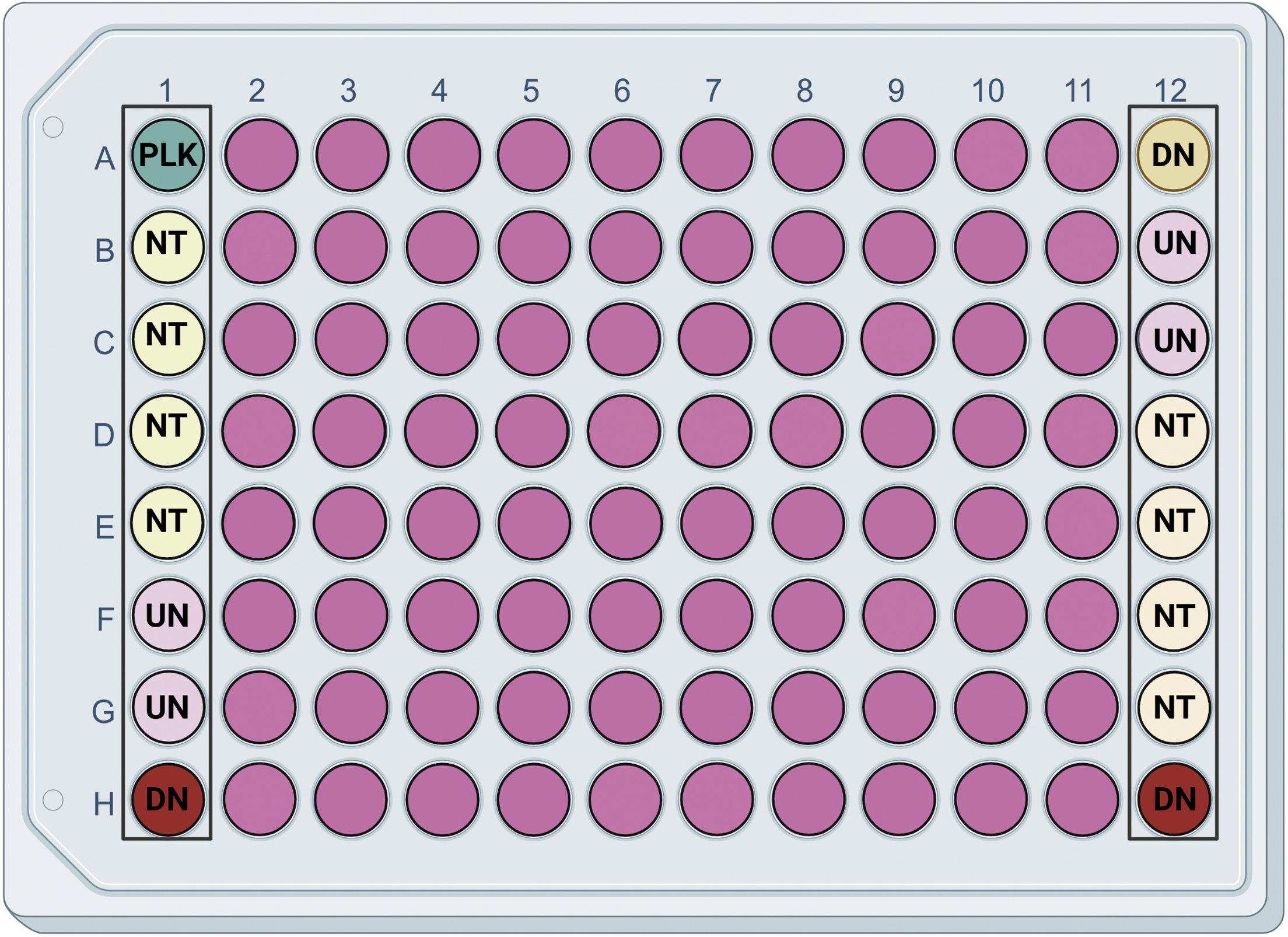 What Is Autoclaving, Process Of Autoclaving, How Does An, 50 OFF