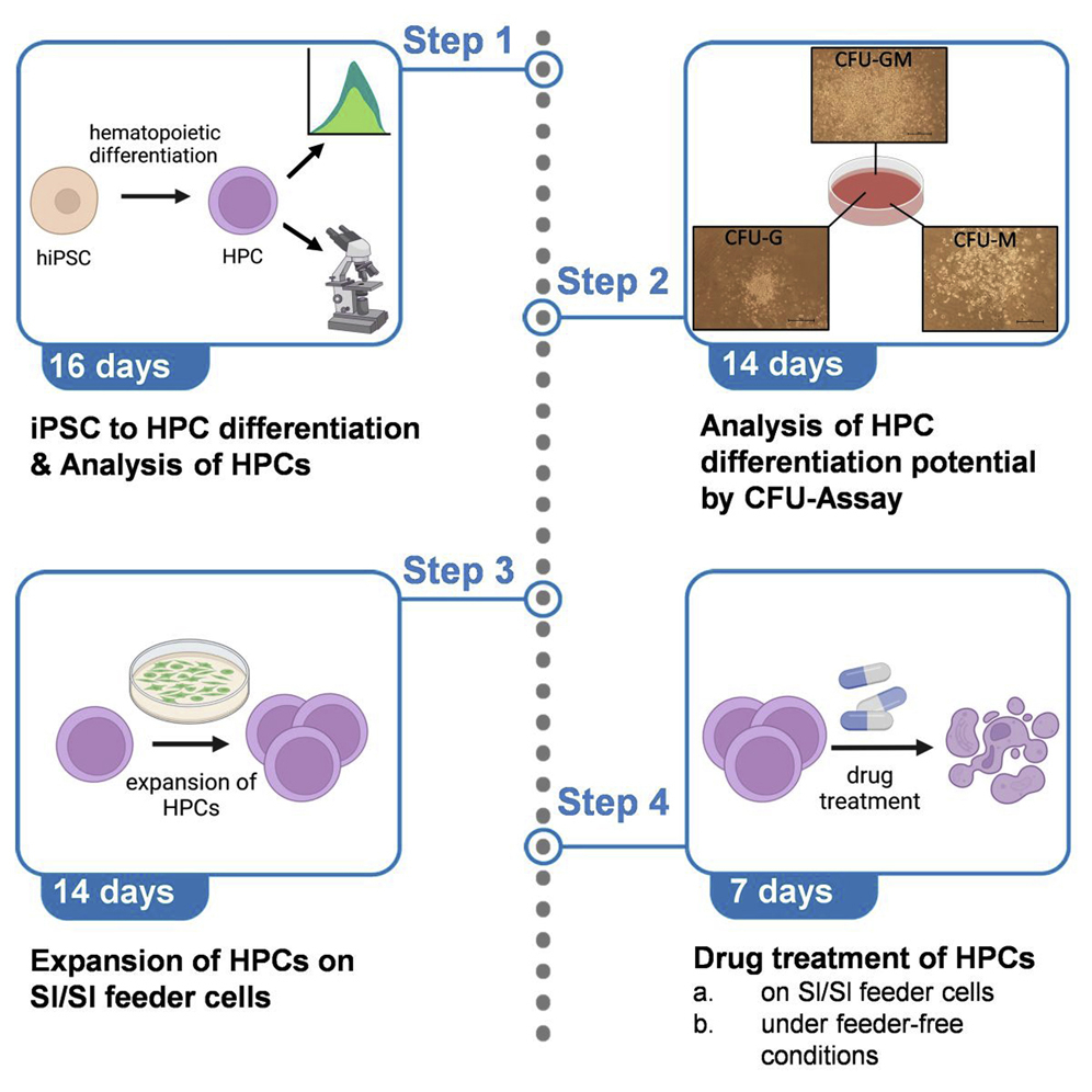 Cell Press: STAR Protocols