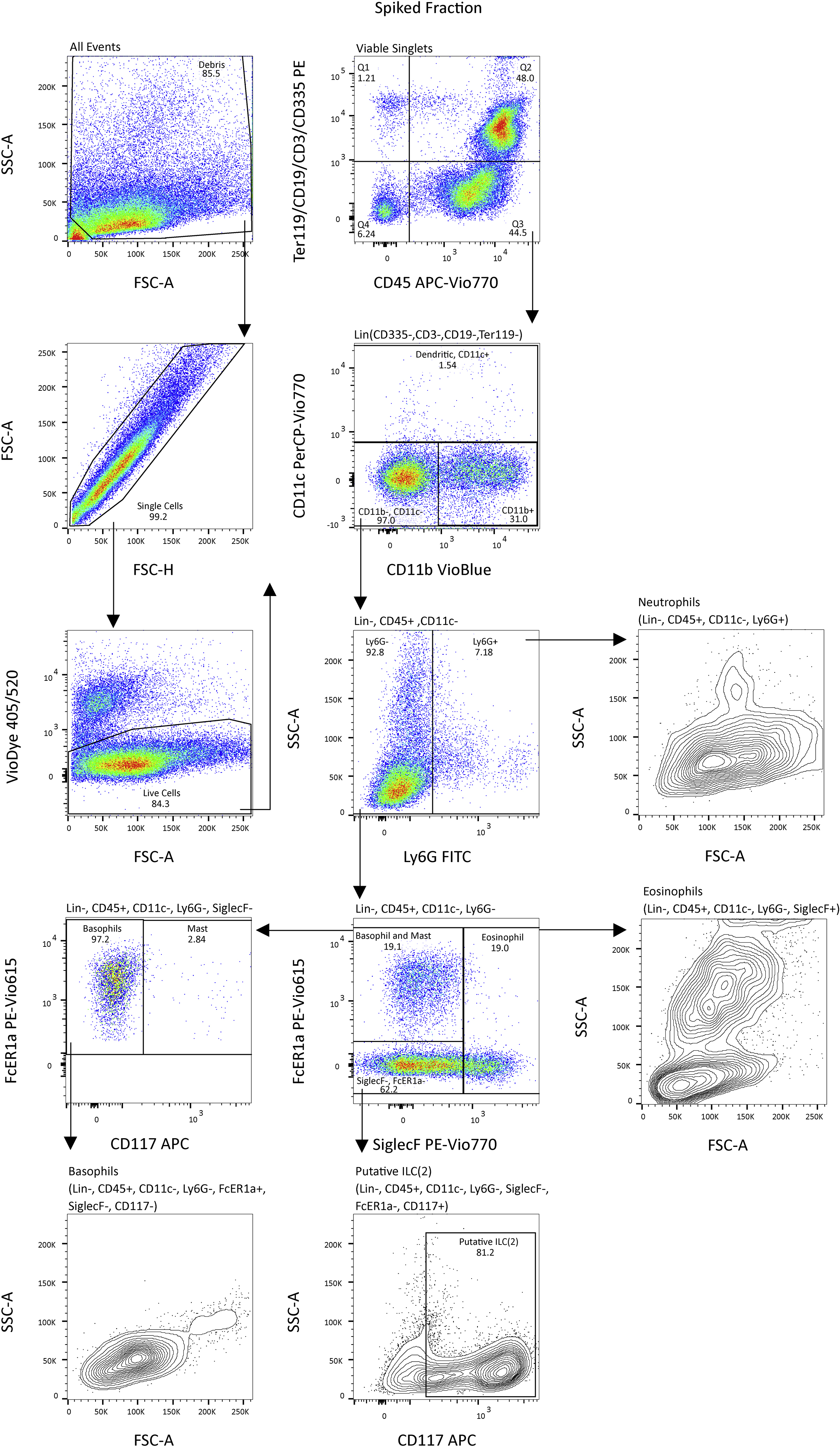 Mouse splenocyte enrichment strategies via negative selection for broadened  single-cell transcriptomics