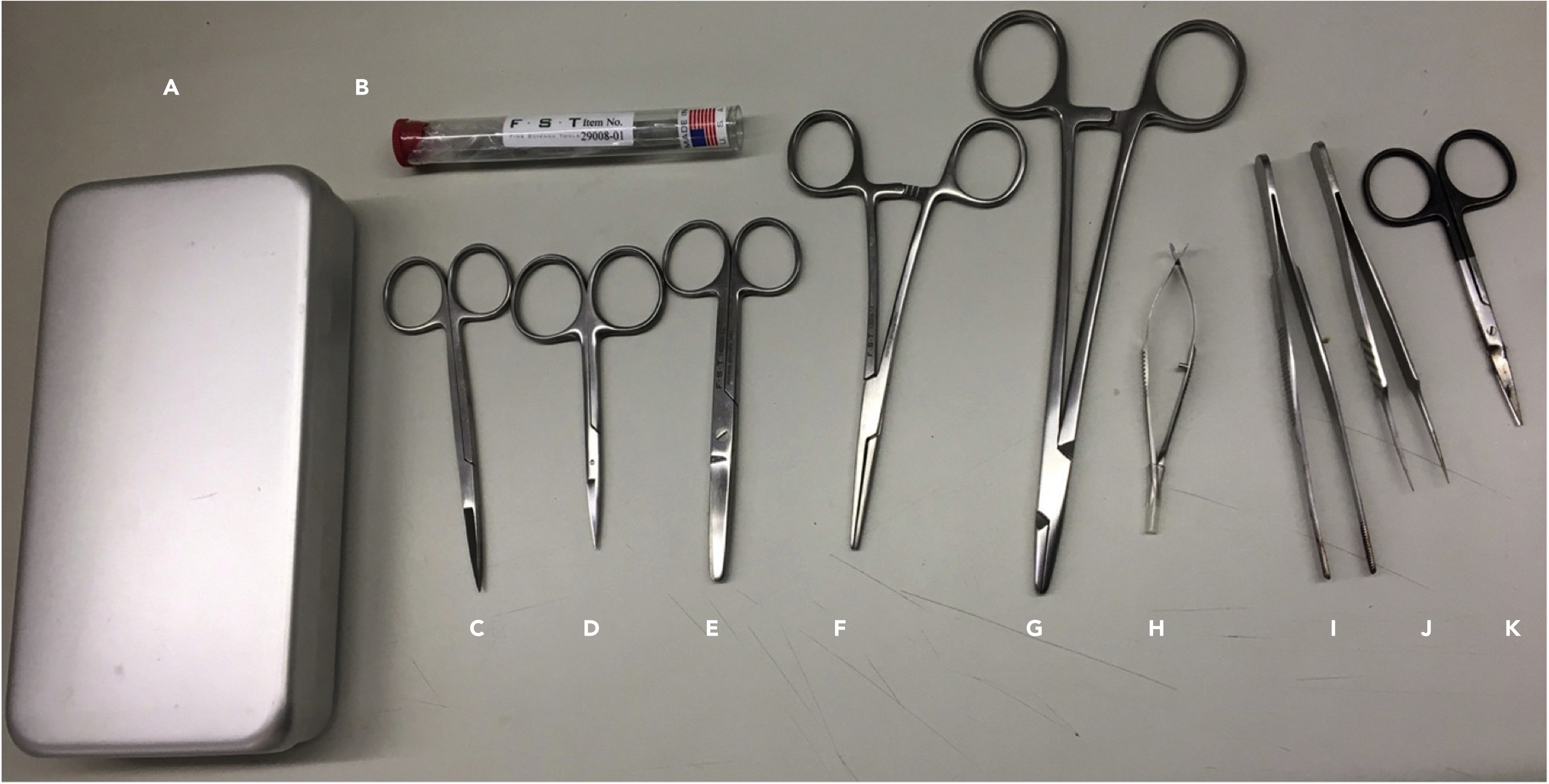 Straight Utility Scissors with Sharp/Blunt Points - 16cm - Predictable  Surgical Technologies