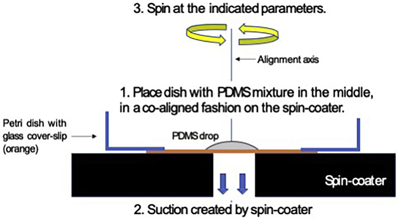Cell Press STAR Protocols