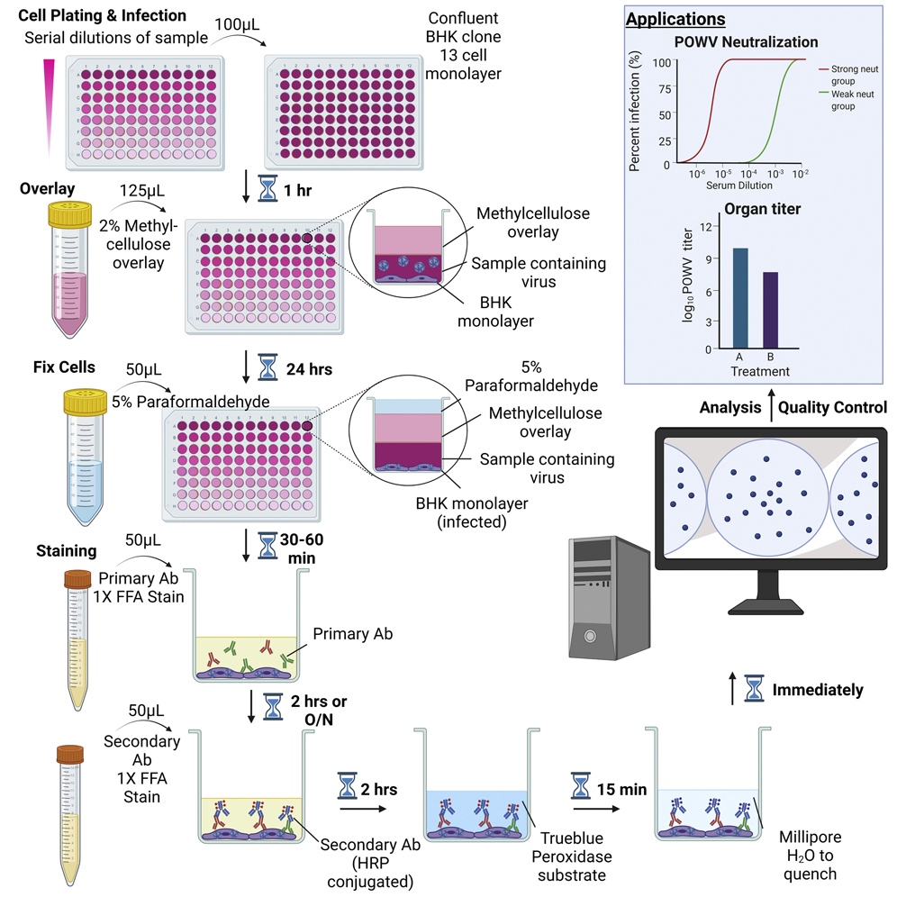 Cell Press STAR Protocols