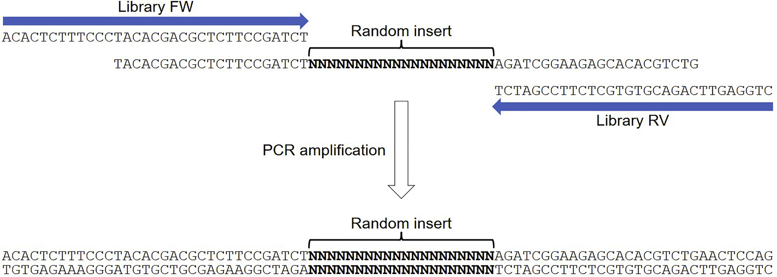 Cell Press: STAR Protocols