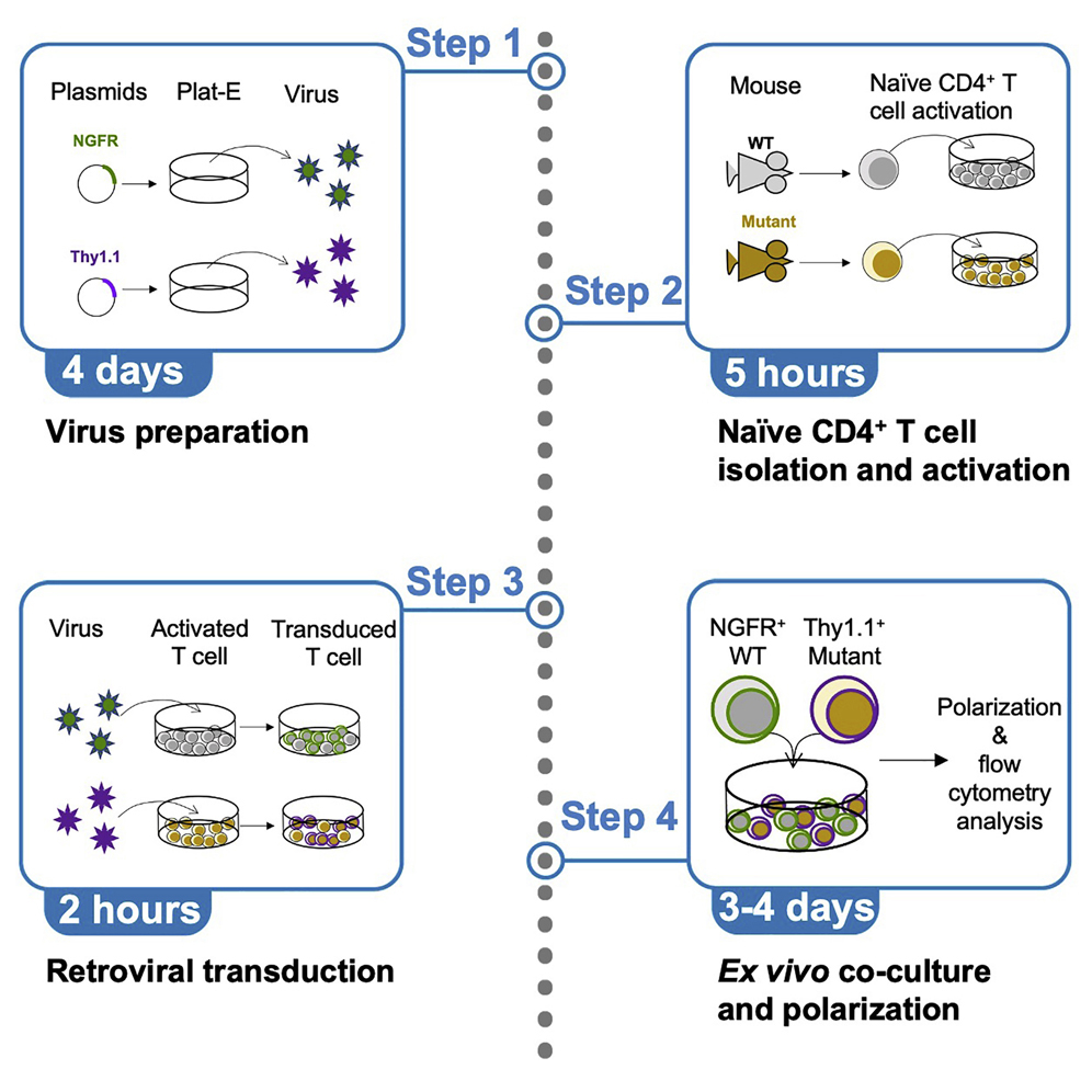 Frontiers  Shedding light on the composition of extreme microbial