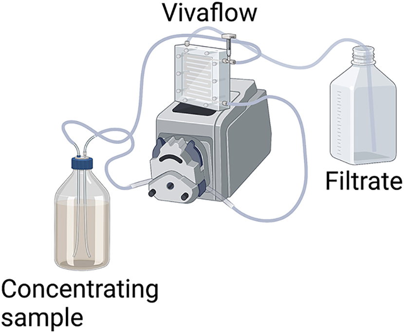 Amicon Ultra 15 Centrifugal Filters 100k Discounts Stores