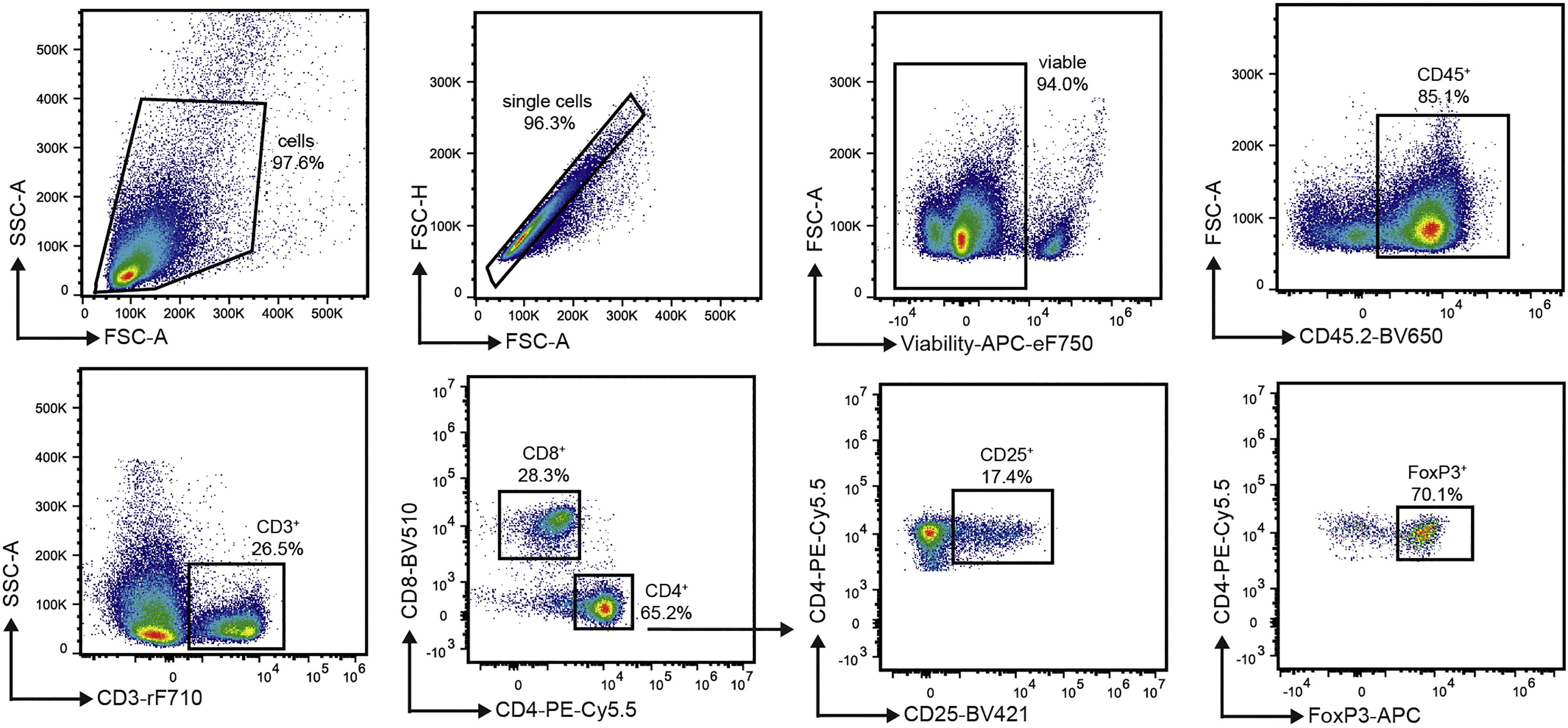 Cell Press: STAR Protocols