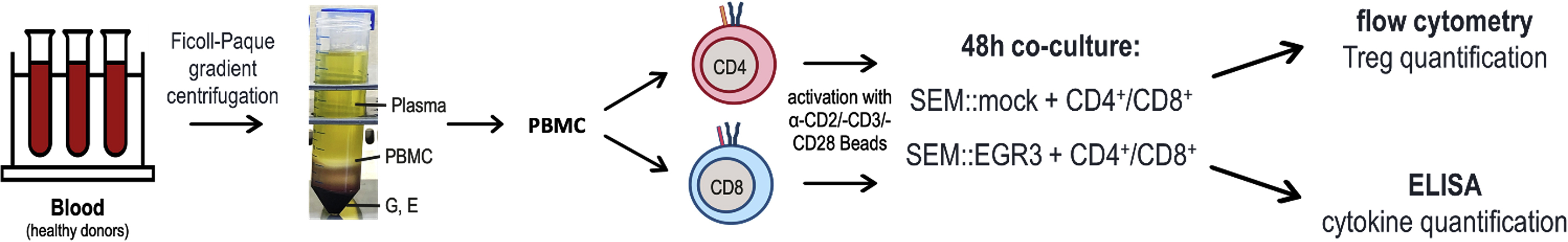 Cell Press STAR Protocols