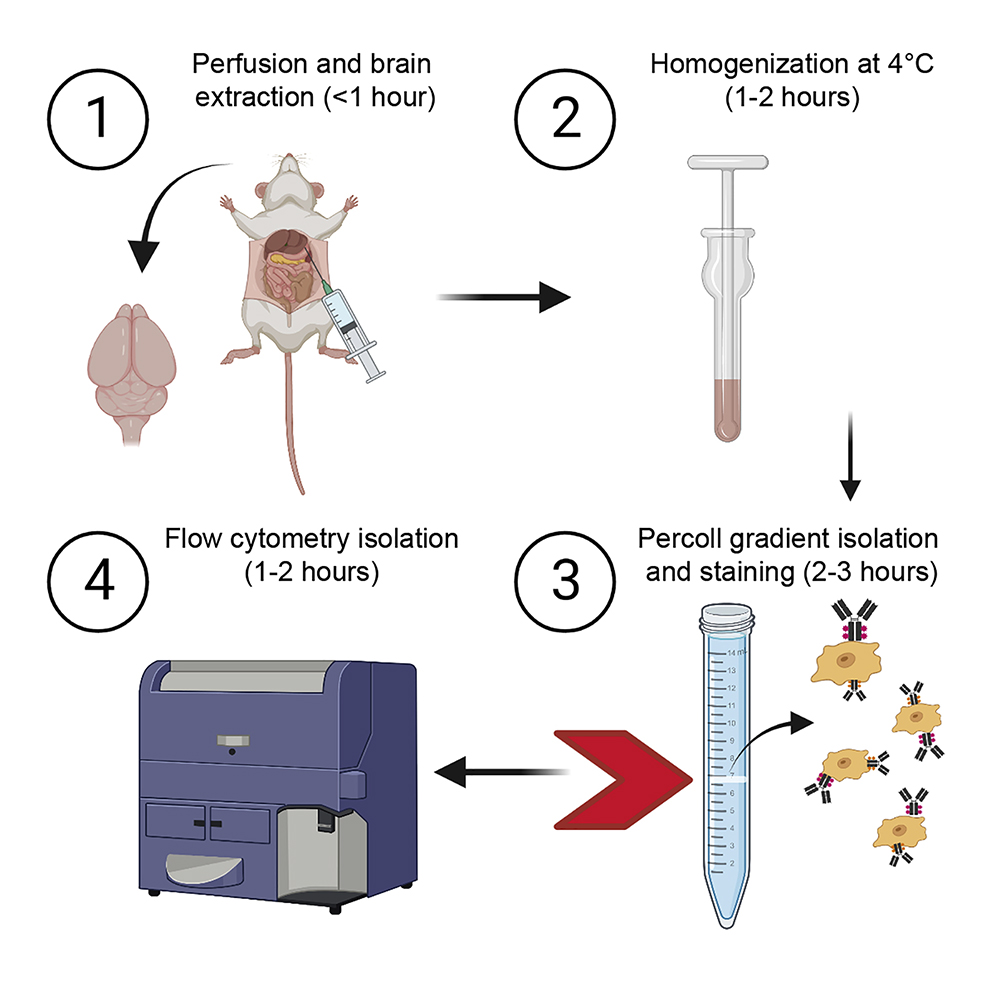 Cell Press STAR Protocols