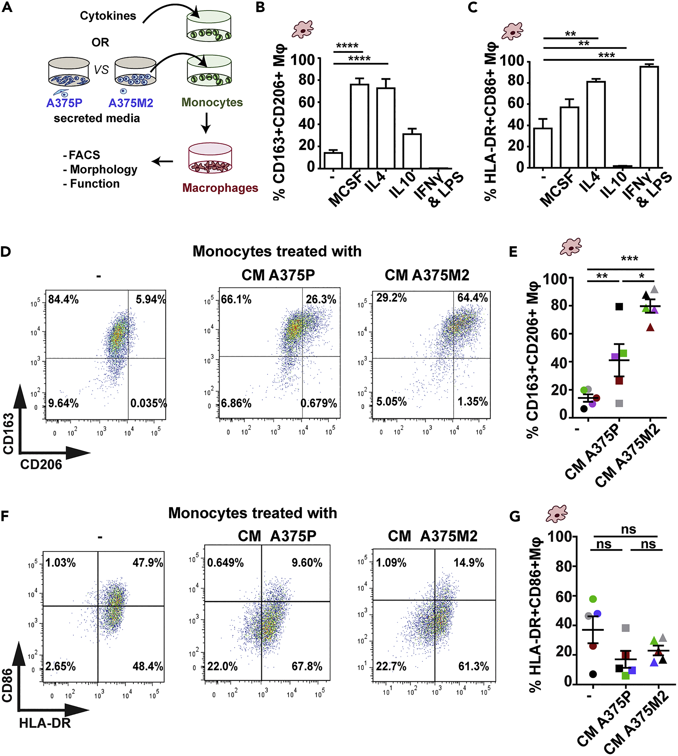 Cell press star protocols