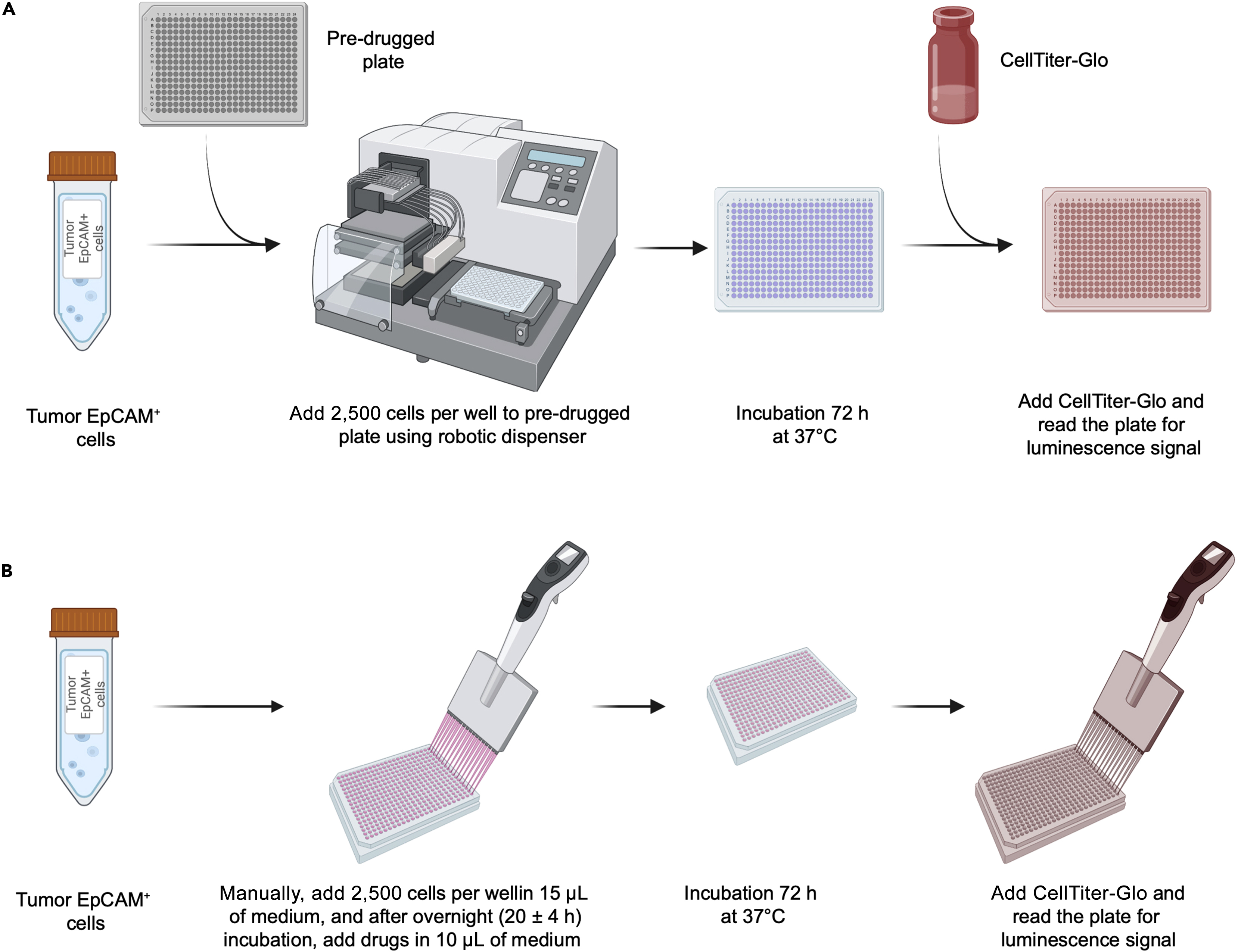 Cell Press: STAR Protocols