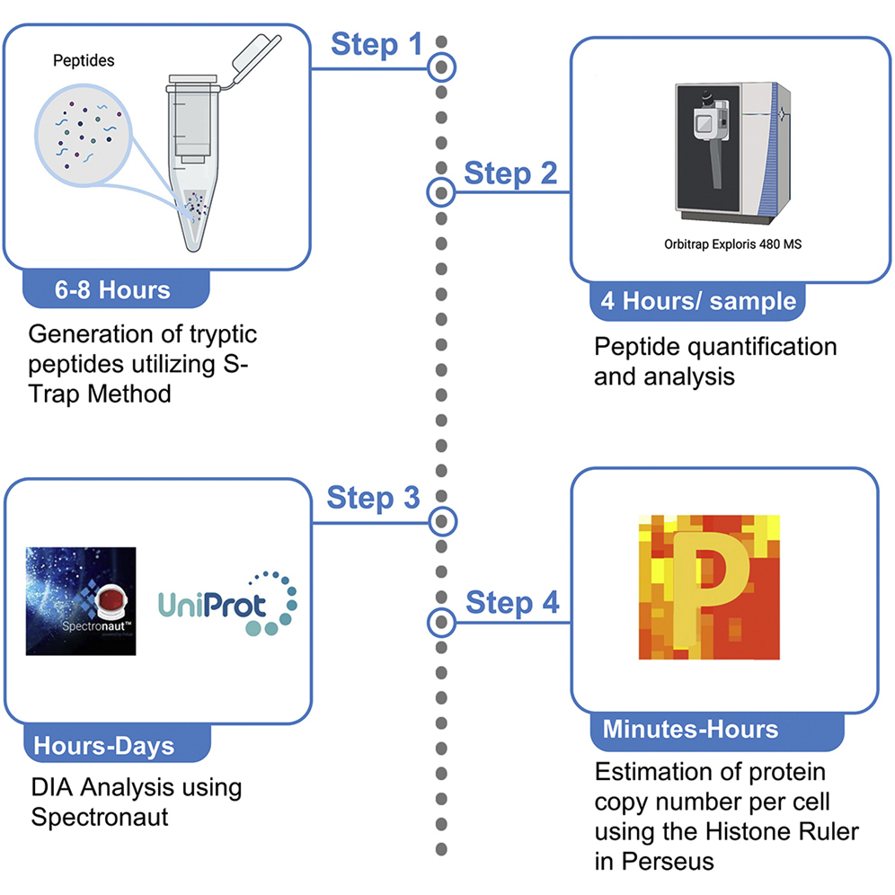 DIA label-free proteomic analysis of murine bone-marrow