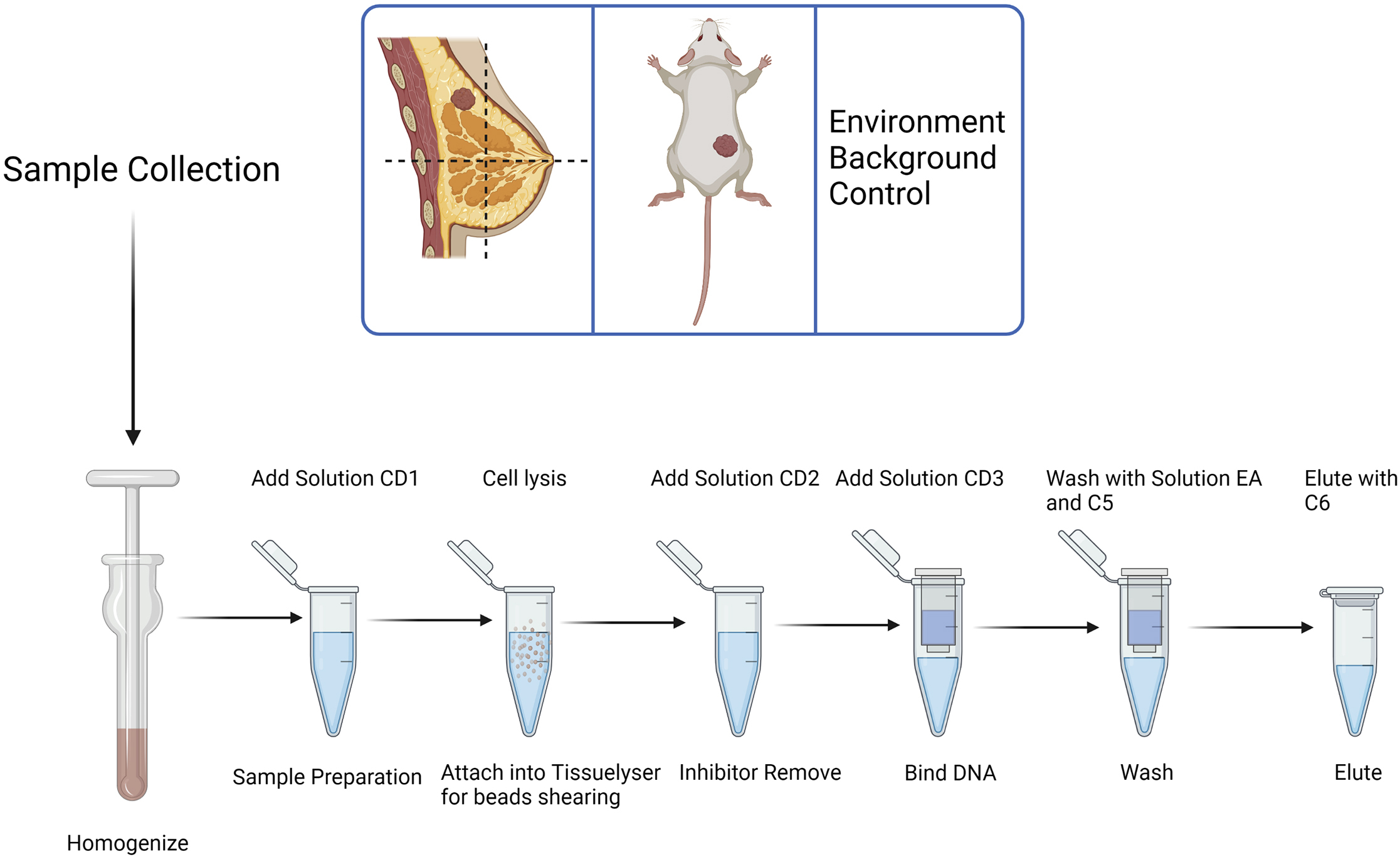 Cell Press STAR Protocols