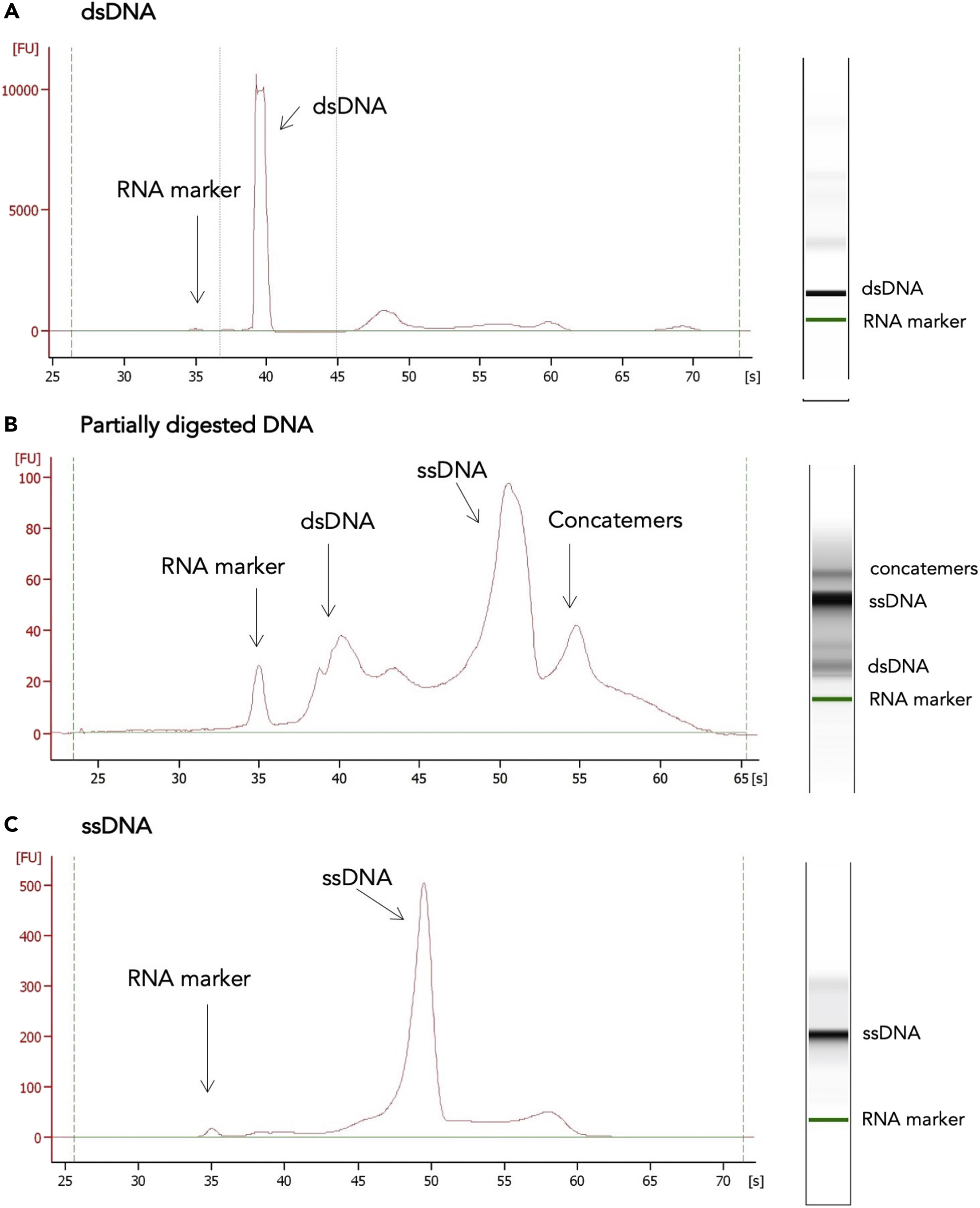 Cell Press: STAR Protocols