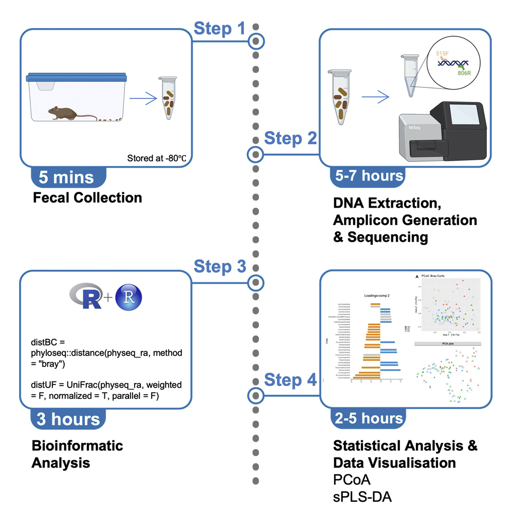 Cell Press: STAR Protocols