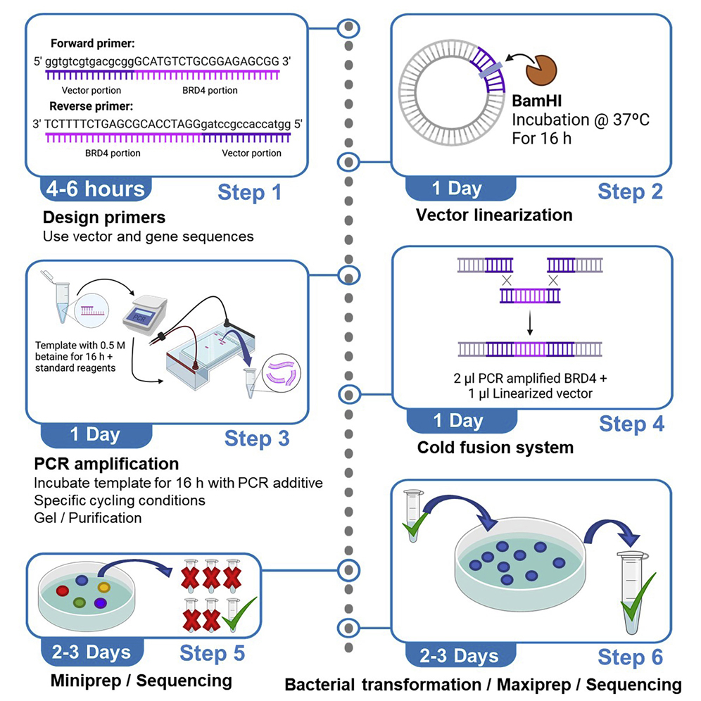 Cell Press STAR Protocols