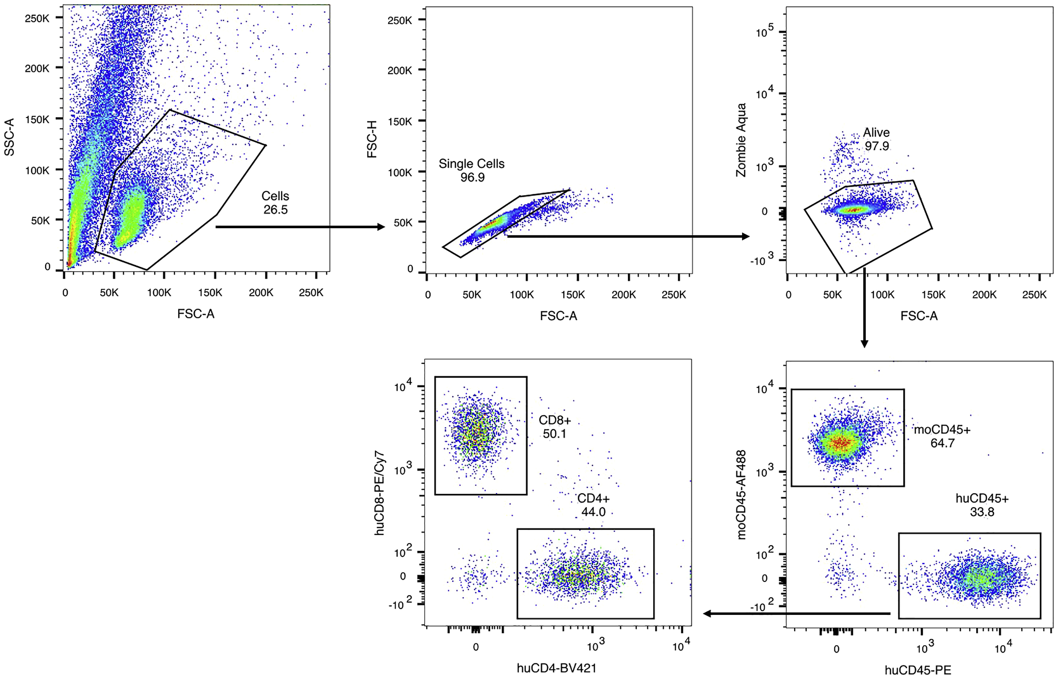 Cell Press: STAR Protocols