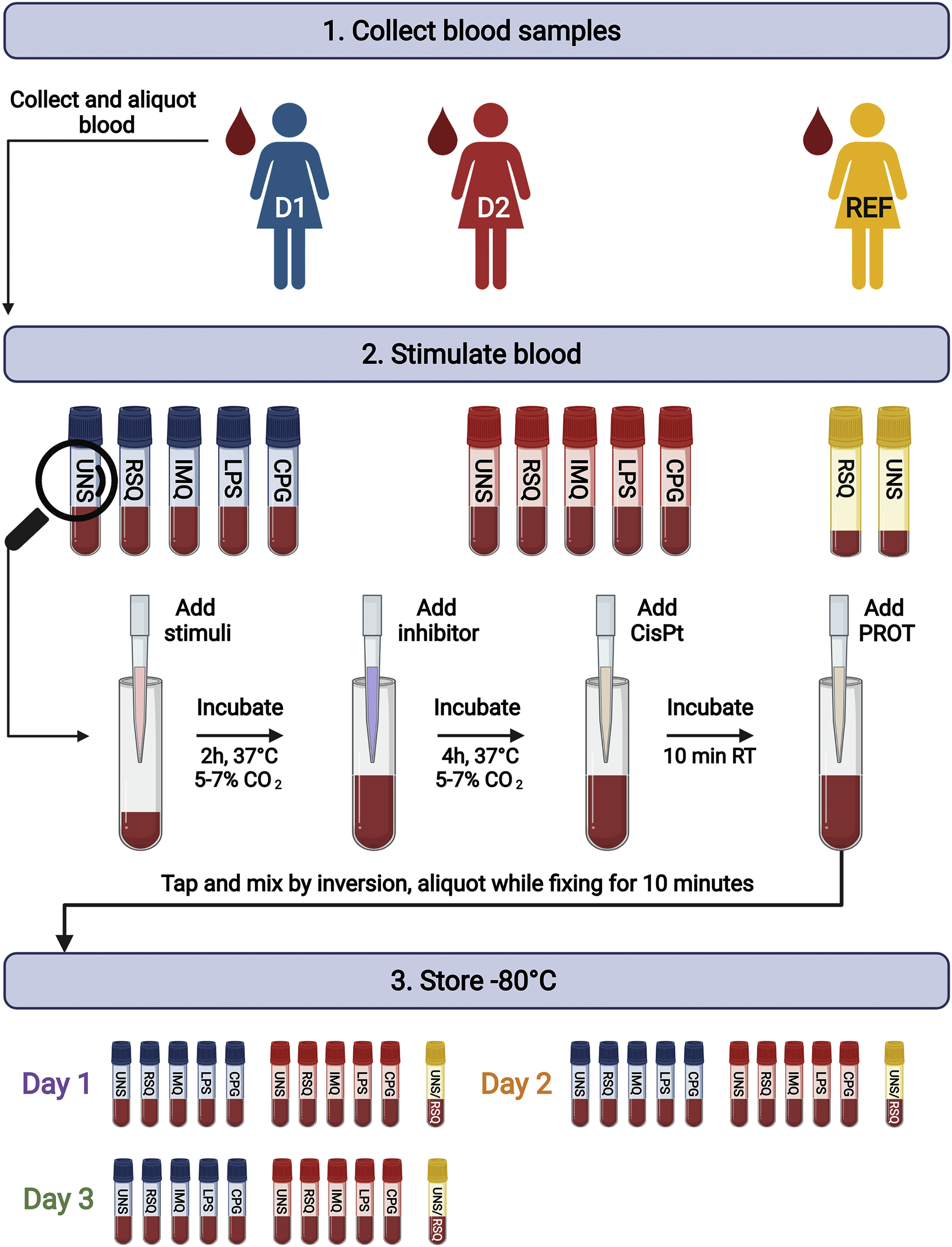 Cell Press: STAR Protocols