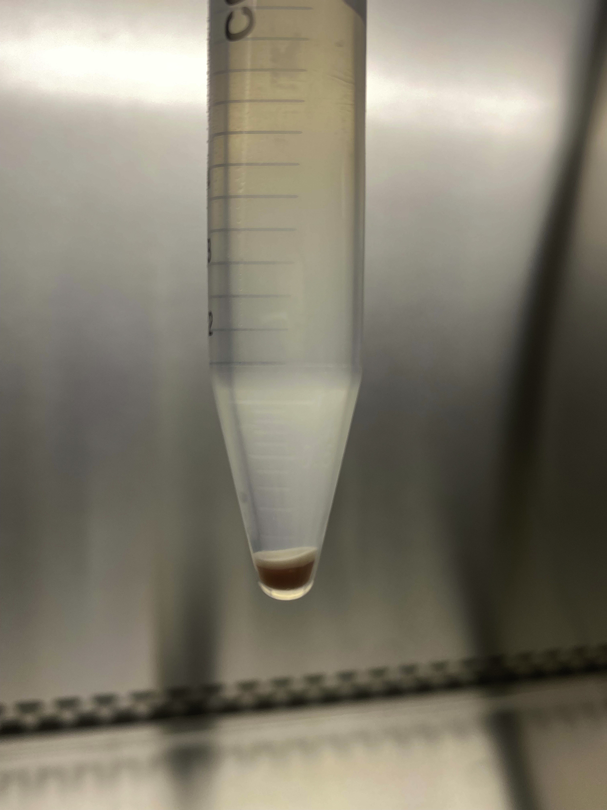 Cell Press STAR Protocols