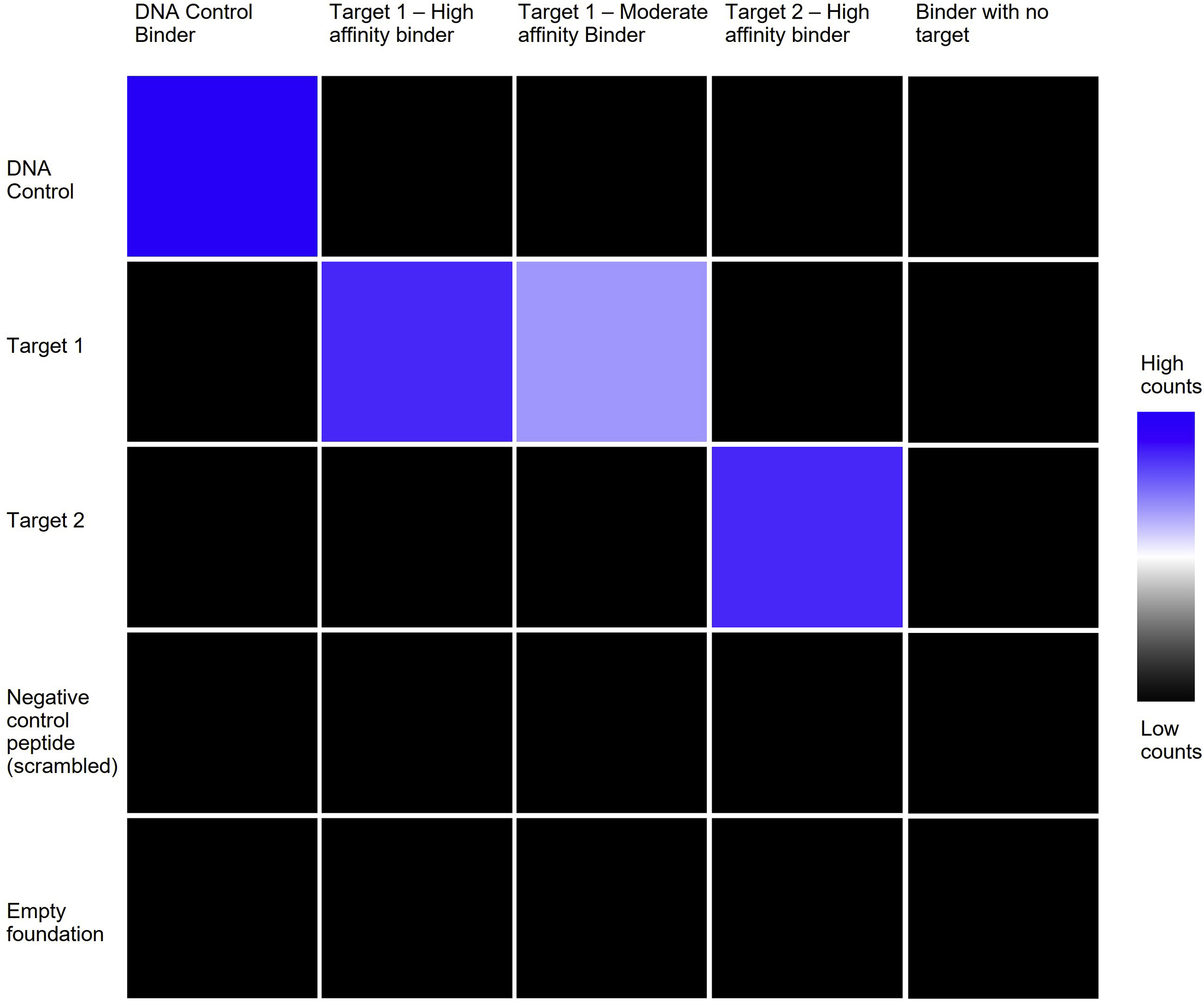 Cell Press STAR Protocols