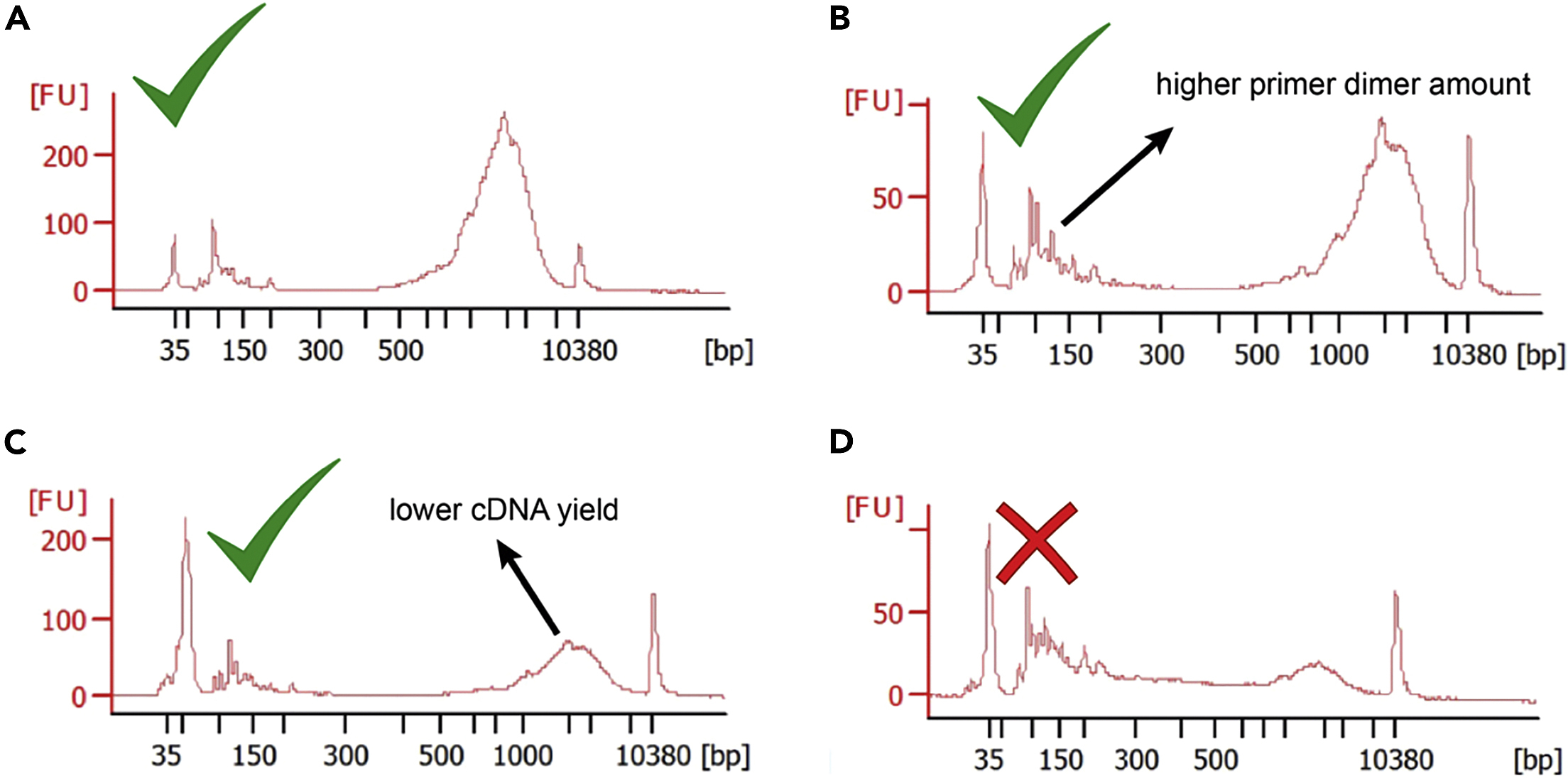 Cell Press STAR Protocols