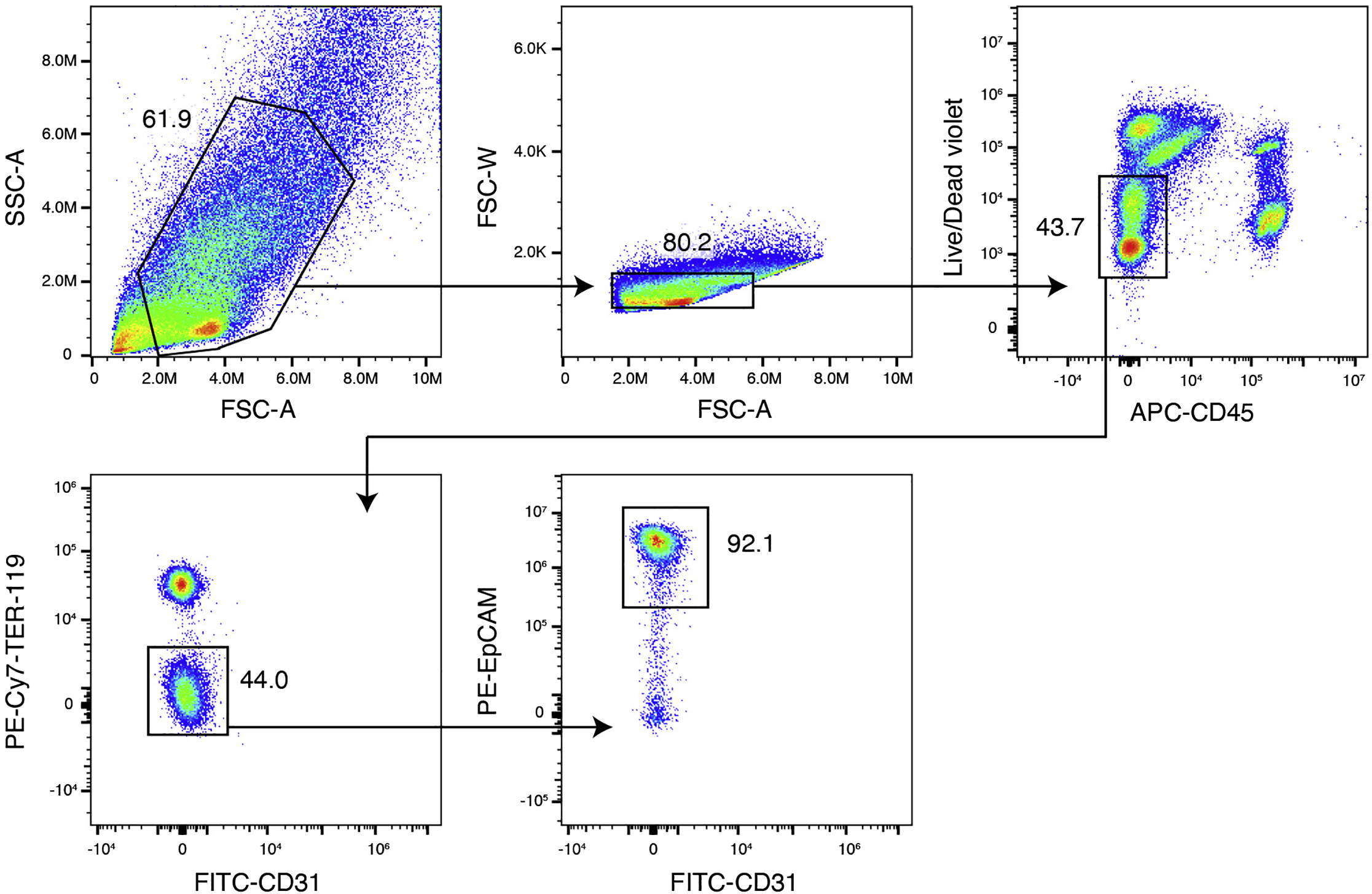 Cell Press: STAR Protocols