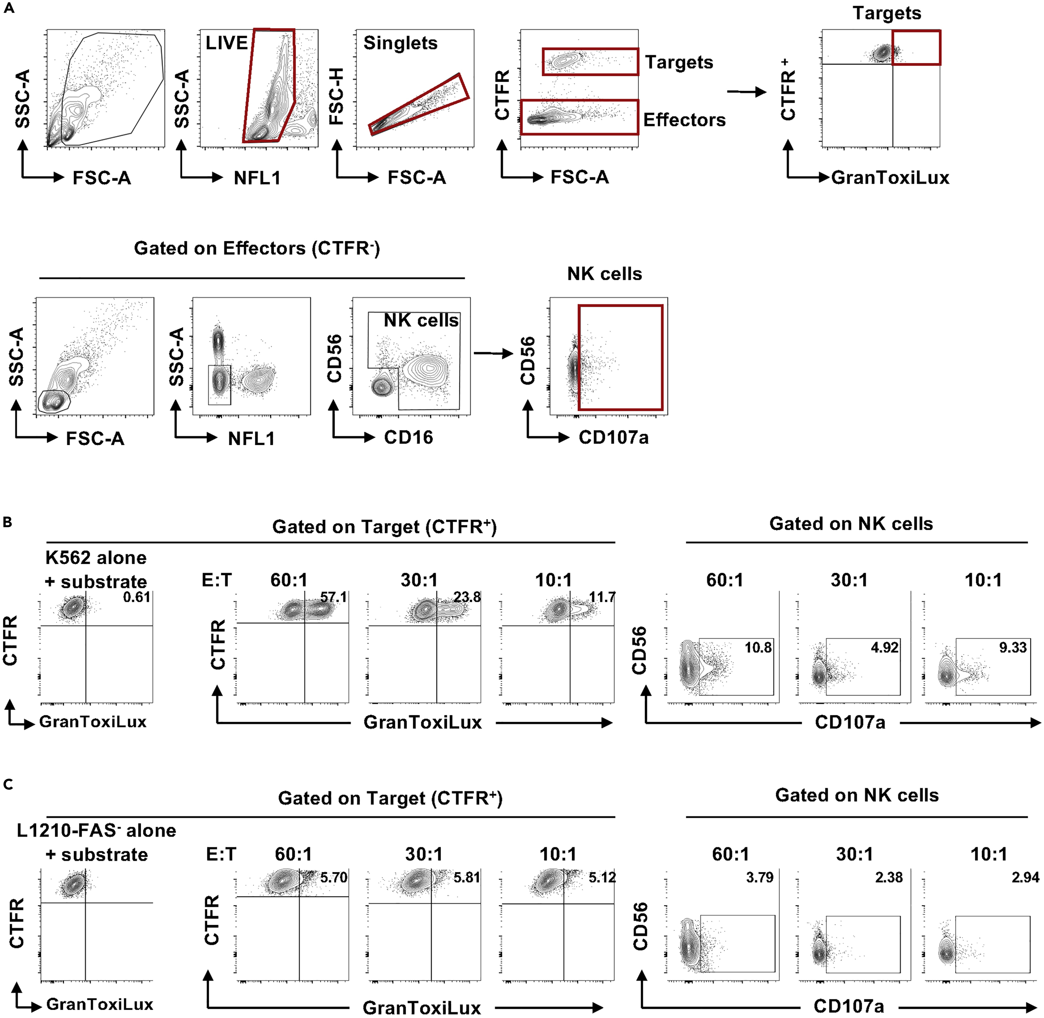 A flow-cytometry-based assay to assess granule exocytosis and GZB