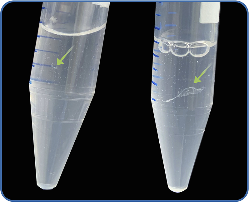 Cell Press STAR Protocols
