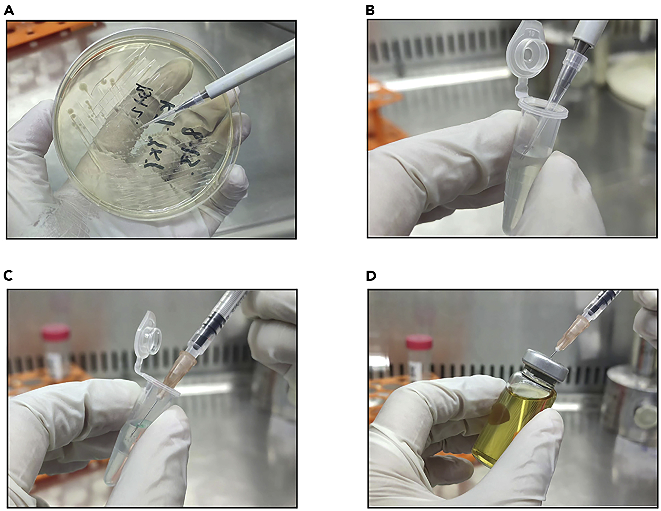 cell-press-star-protocols